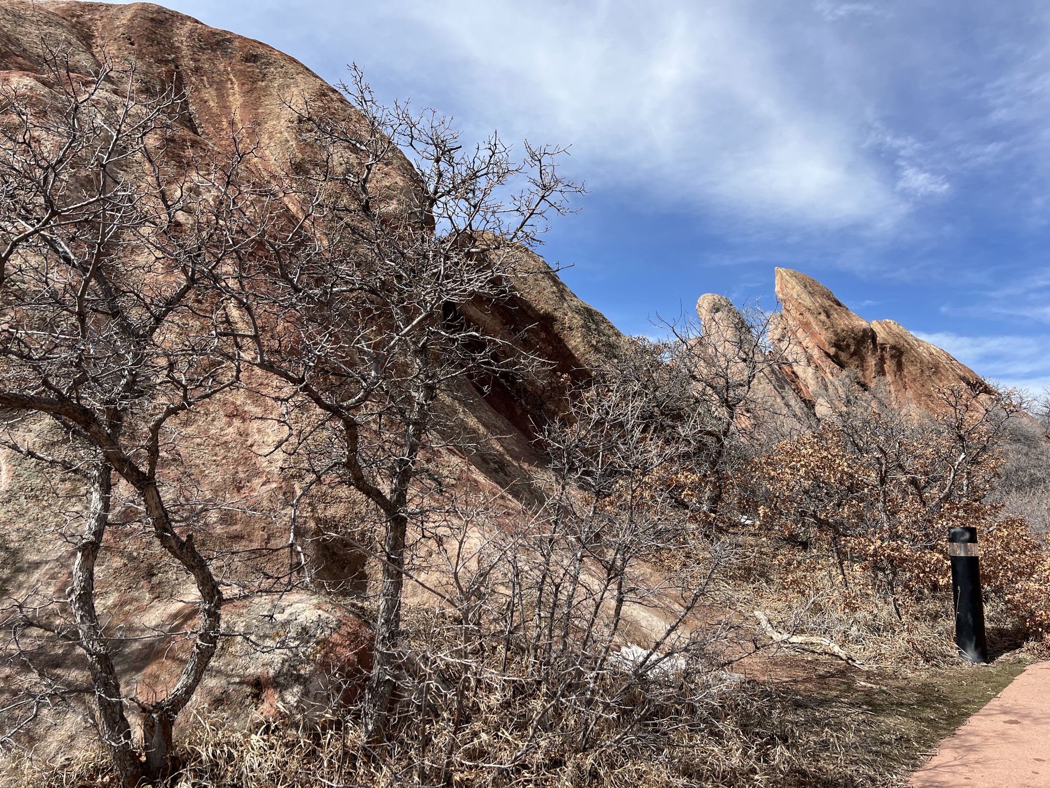 Bare trees in front of large red rock formations under a blue sky. - Bear Canyon Trail