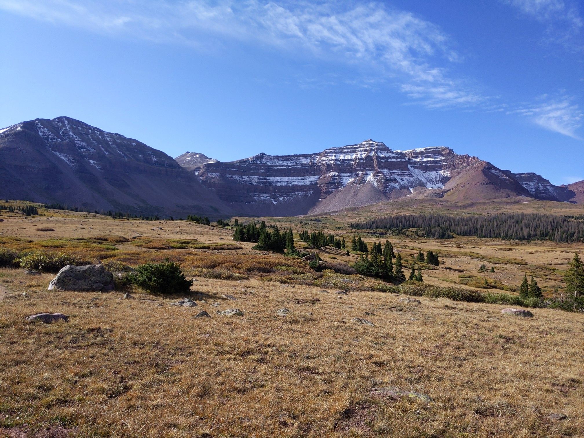 Expansive golden meadow leading to snow-capped mountains under a clear blue sky. - Henry's Fork Trail