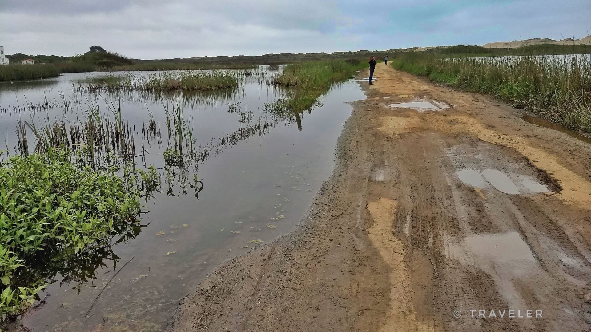 Flooded dirt road next to a wetland with a person walking, overcast sky. - Elkhorn Slough and Moss Landing