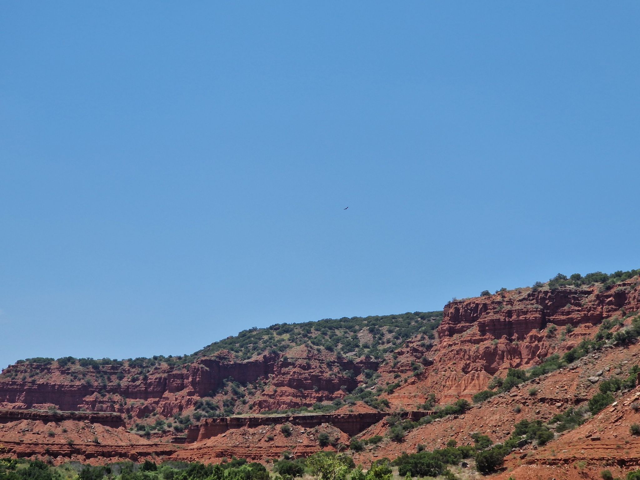 Red rock cliffs with sparse green brush under a clear blue sky. - Trail J - Eagle Point Trail
