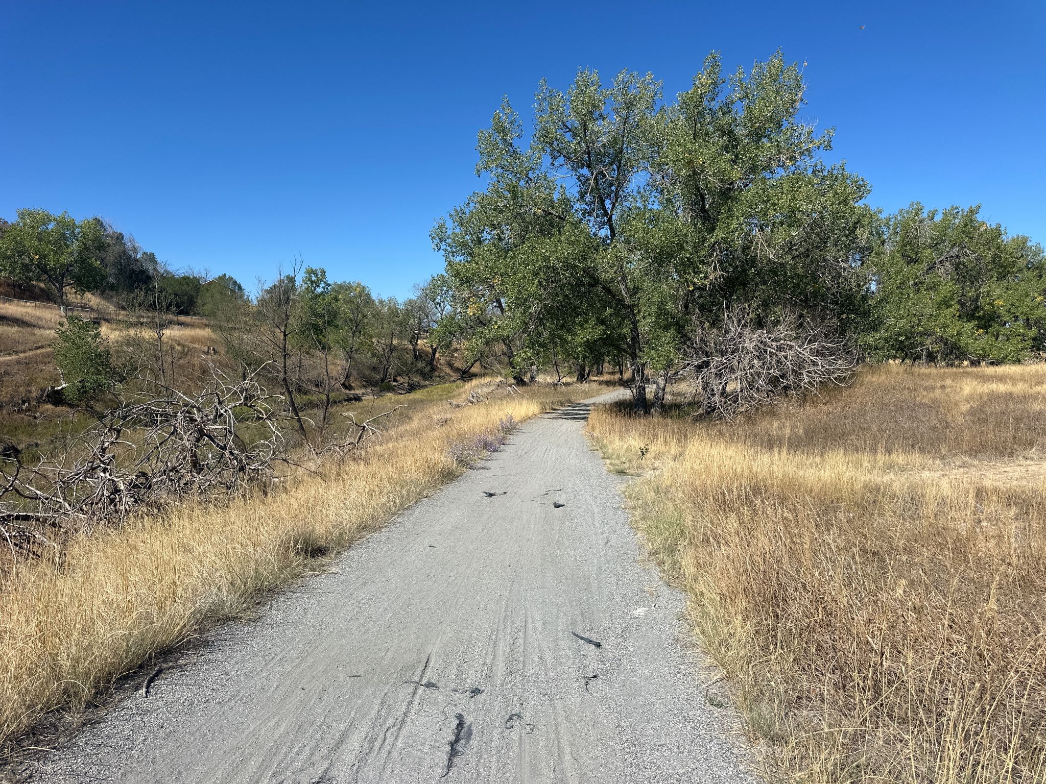 Gravel path winding through dry grassy hills with large green trees. - Toll Gate Creek Regional Trail – Morrison Nature Center loop from Peoria