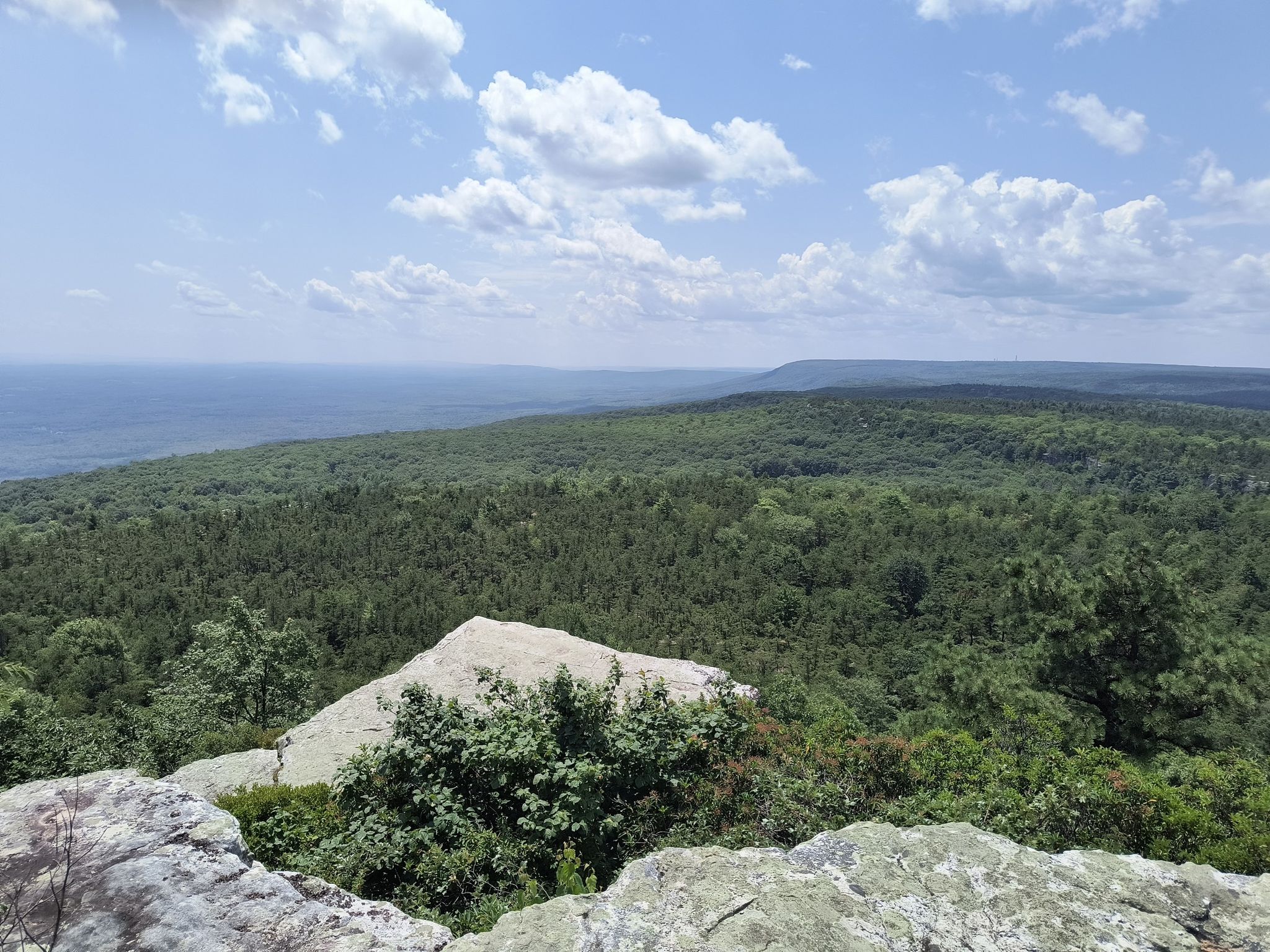 Sunny panoramic view of a vast green forest from a rocky overlook. - Hamilton Point via Awosting Reserve, Scenic, and Castle Point Road