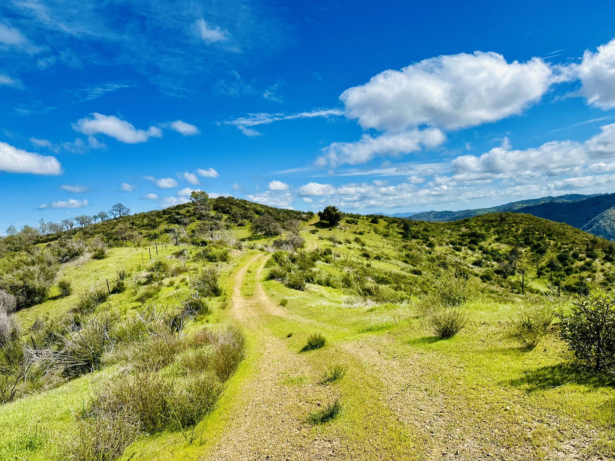 A dirt path winds through sunny green hills under a blue sky. - Wilson Peak & Coit Lake loop from Coe Ranch