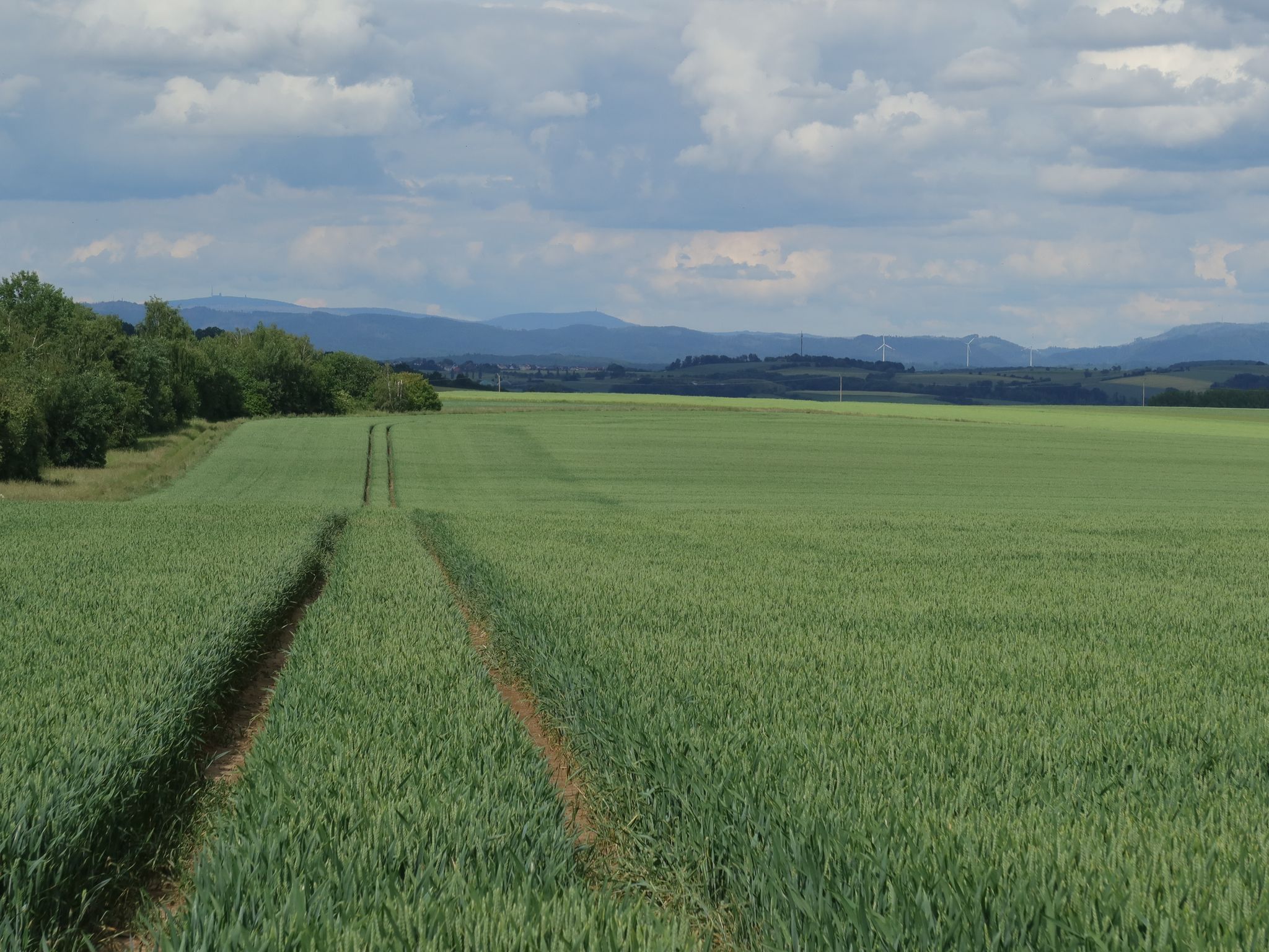 Blick entlang der ehemaligen Grenze hinüber zum Harz.