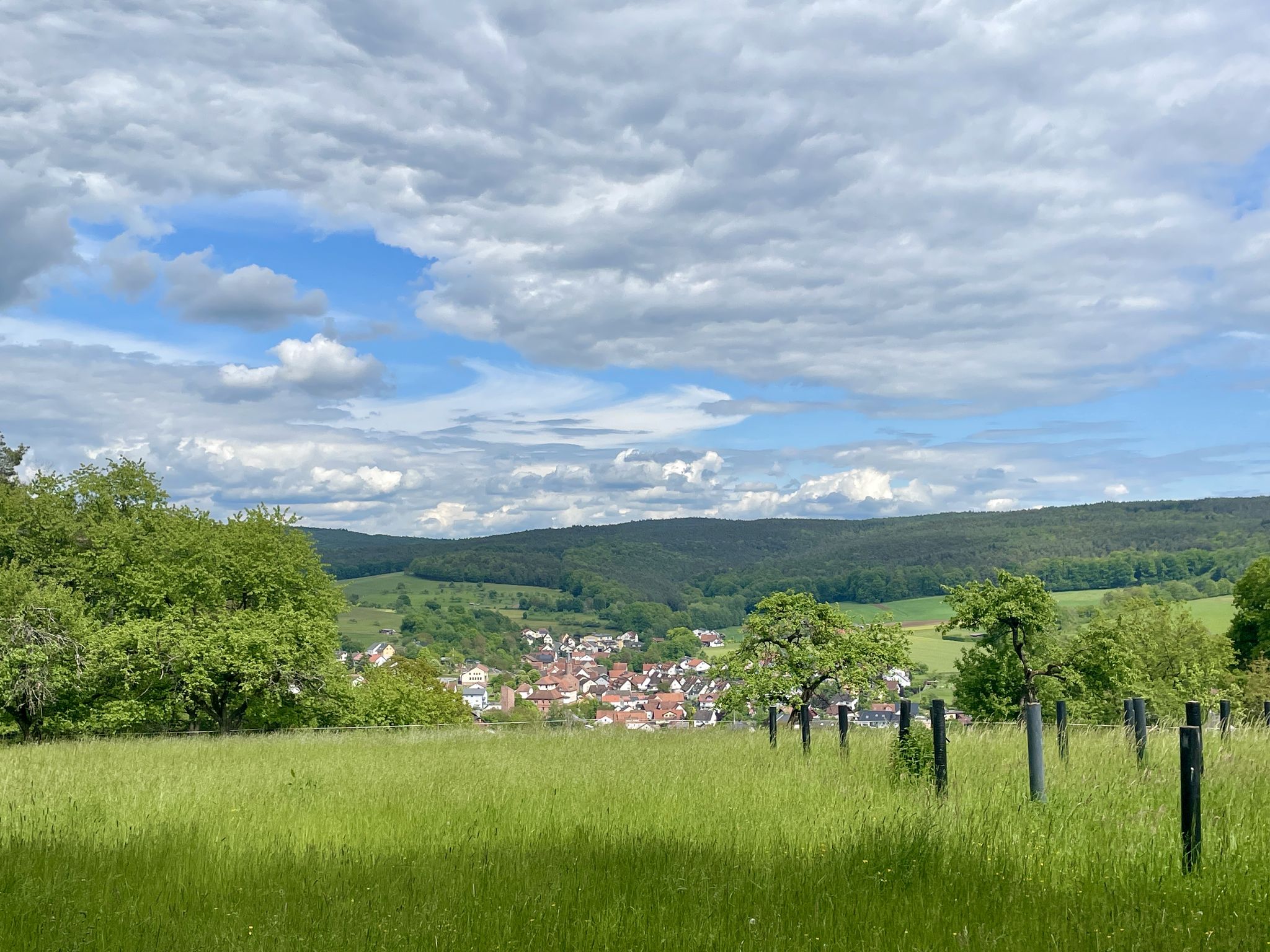 Blick auf Hausen