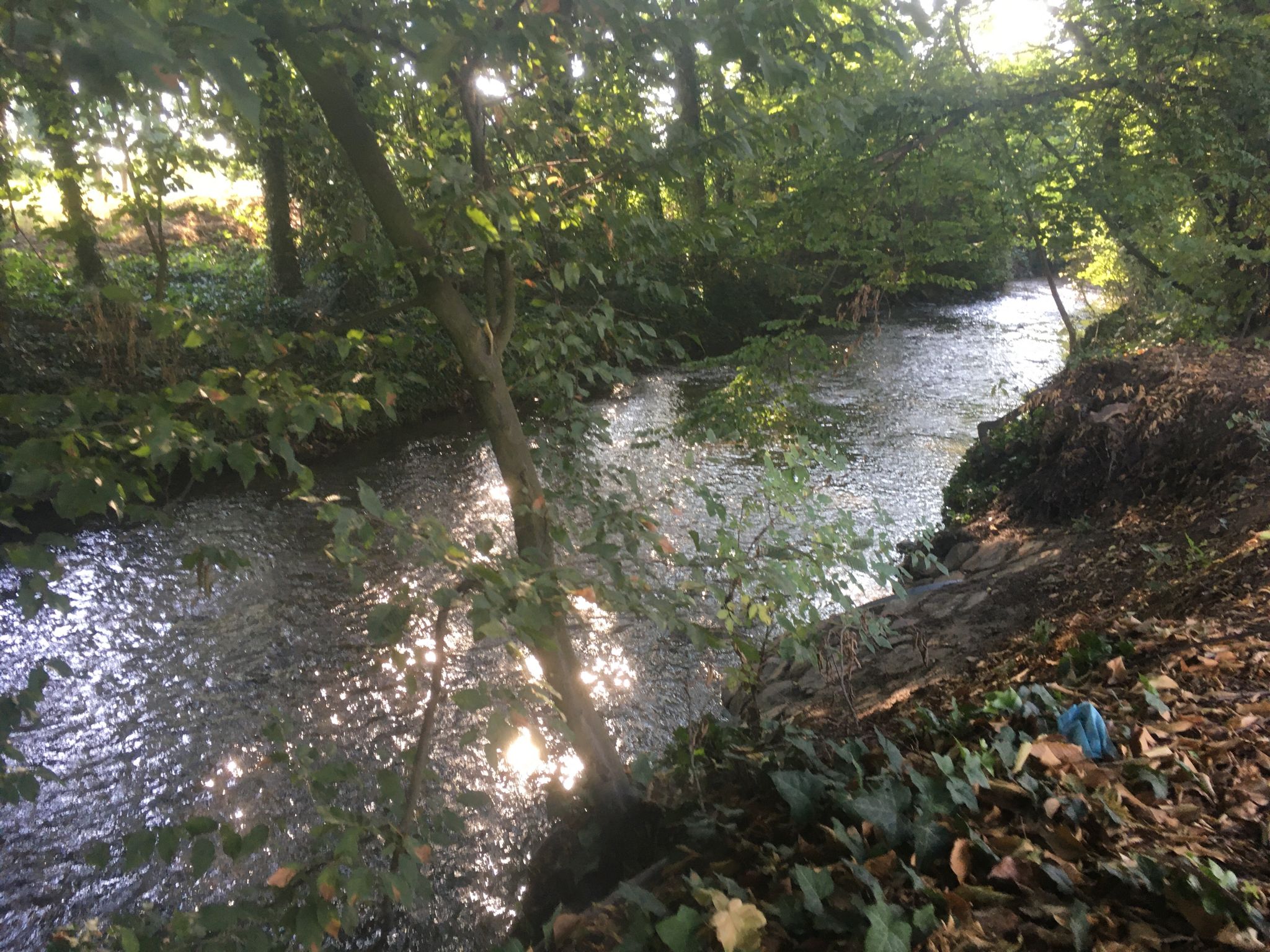 Die Bach hat Wasser 😊