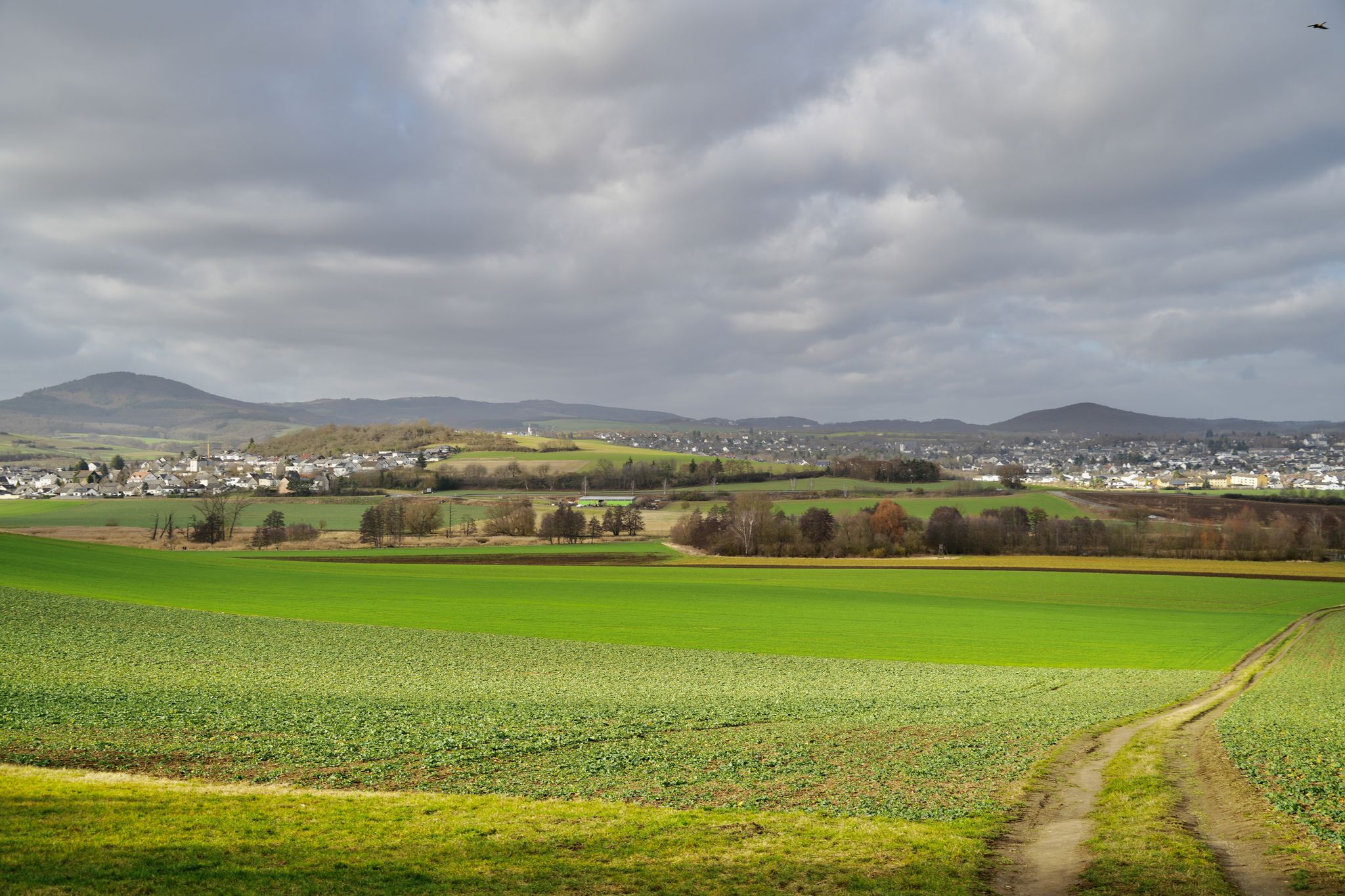 Blick über das NSG "Thürer Wiesen", links Thür, rechts Mendig