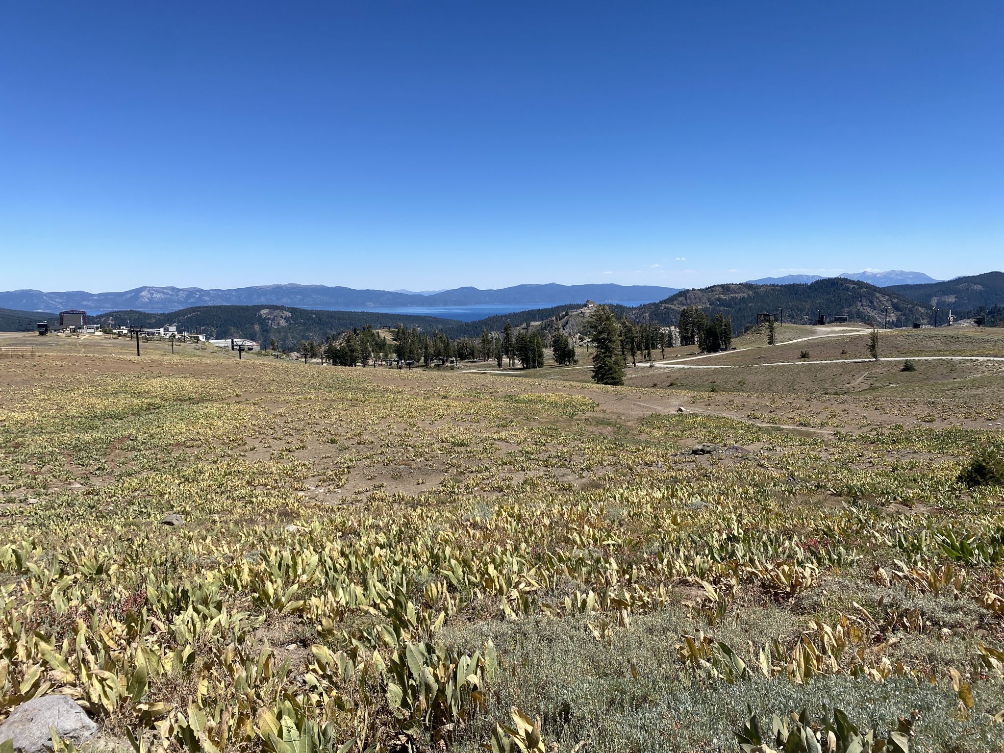 Wide view of a mountain landscape with green fields, distant lake, and clear blue sky. - Squaw Valley village – Squaw Valley loop from Olympic Valley