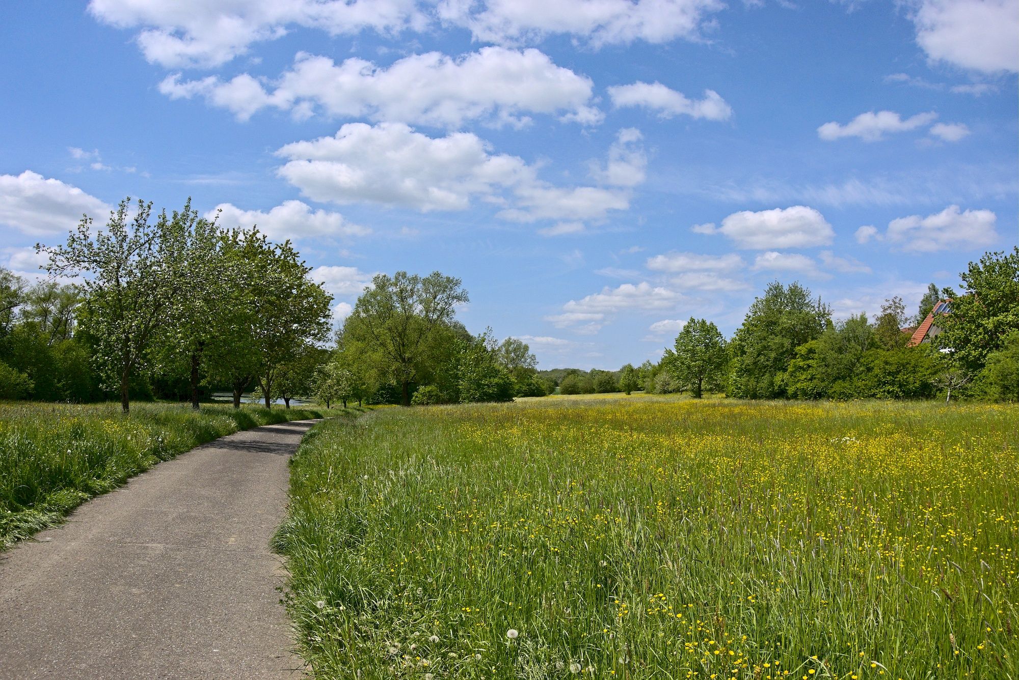 Ausfahrt aus Ilshofen