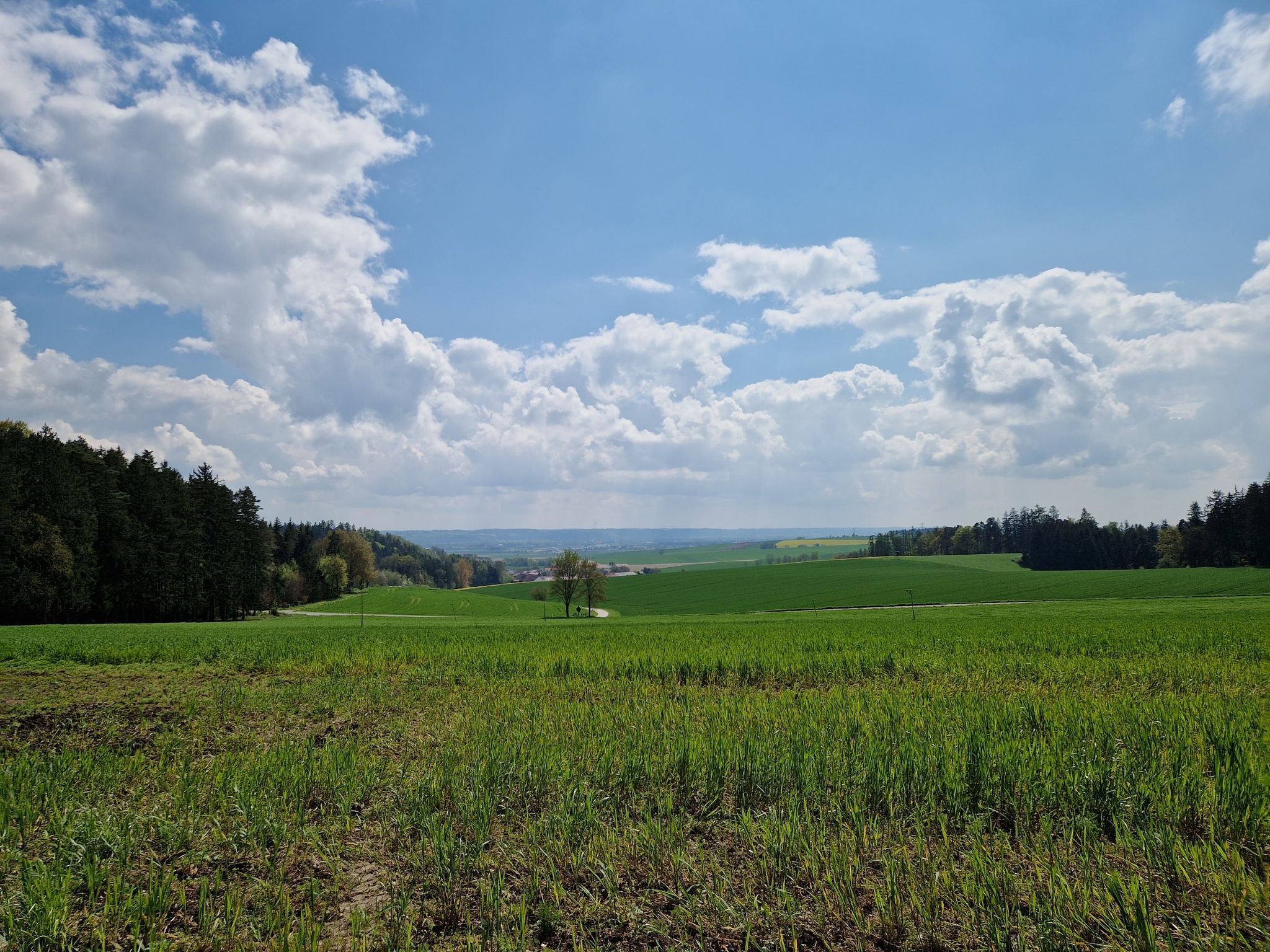 lieblingsplotz
