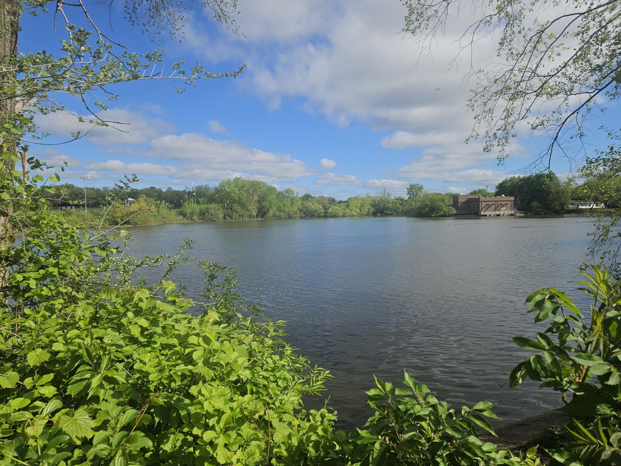 Wide view of a calm lake surrounded by green trees under a bright sky. - Elgin and Fox River Trail Loop