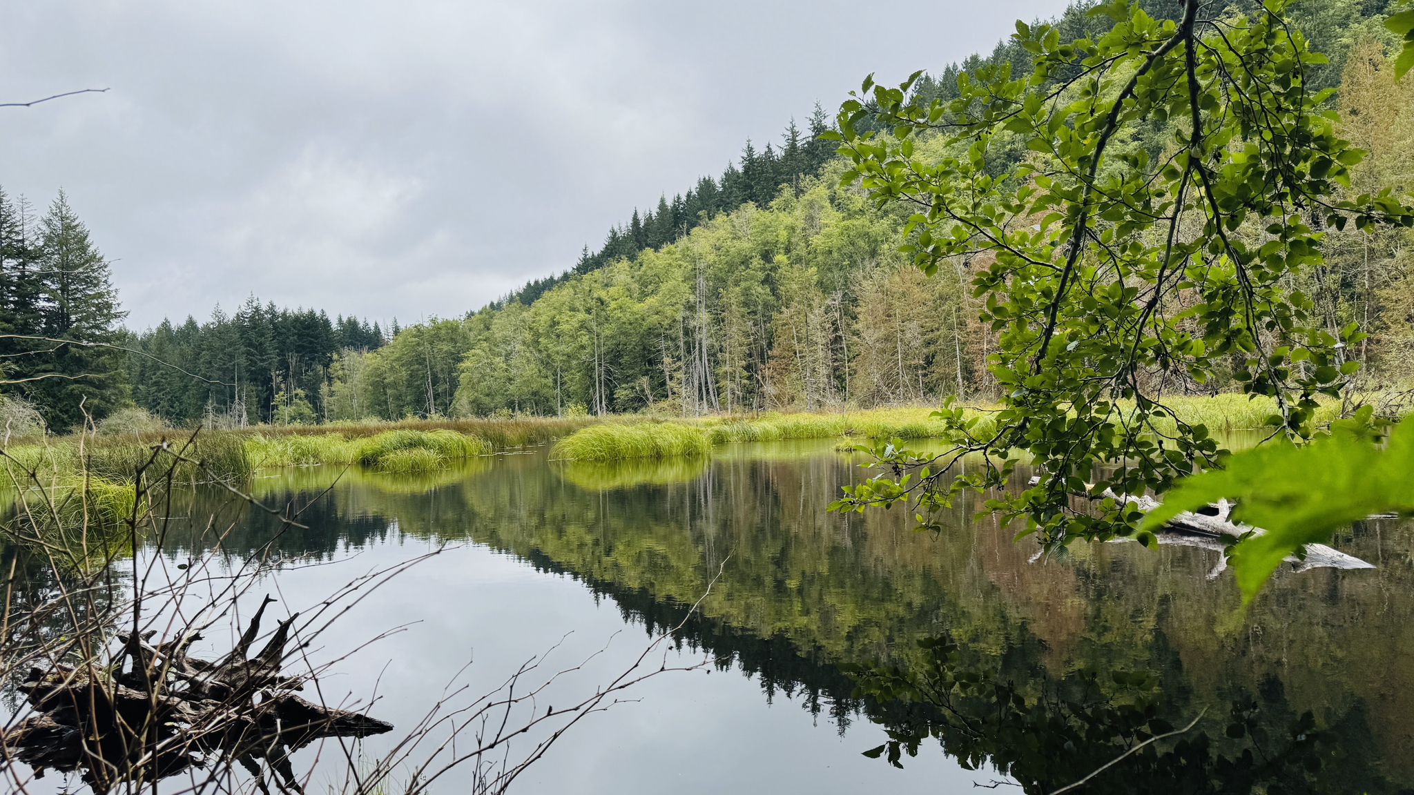 Calm pond reflecting a lush green and brown forested hillside under overcast sky. - Tahuya Lake loop from Wildcat Lake