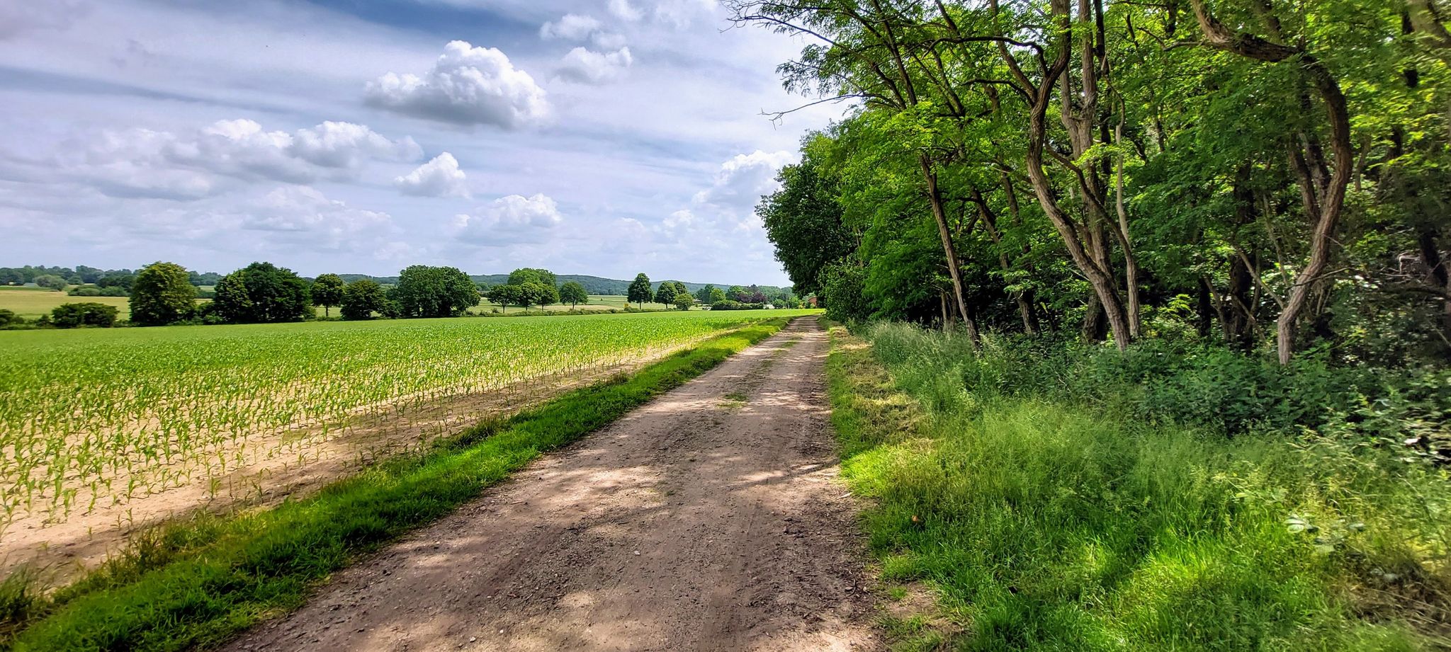 Ook deze onverharde weg staat op de Komootkaart als verhard; nou, dat is die echt niet