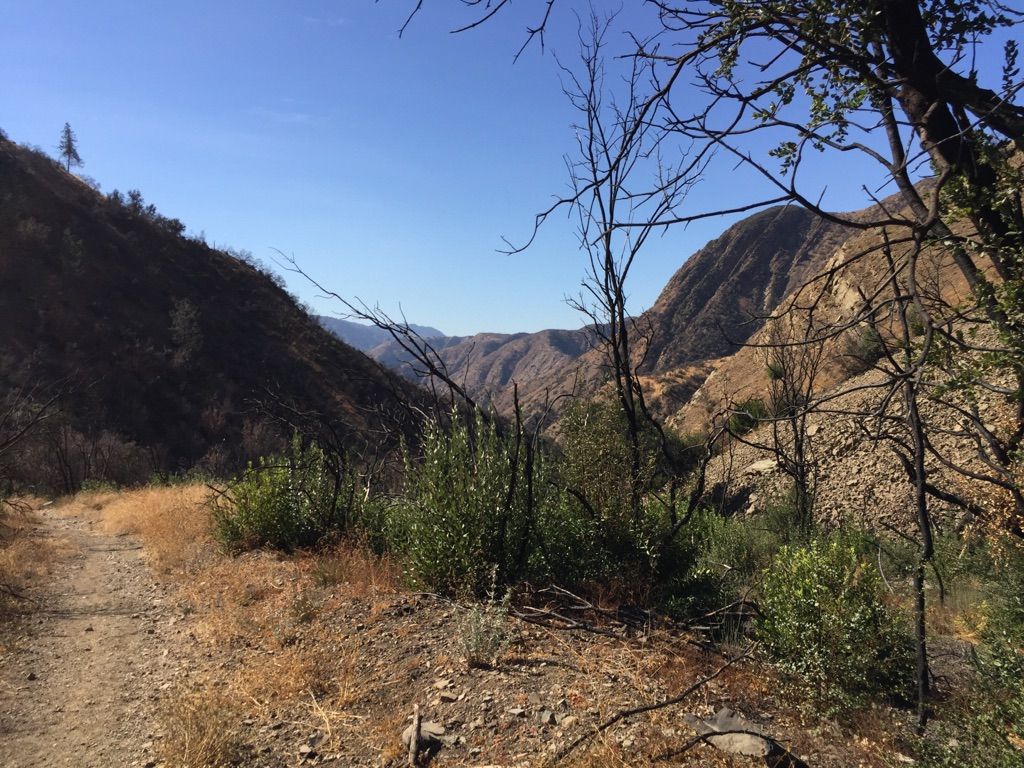 Dirt path overlooking a wide valley with distant mountains under a clear sky. - Santa Paula Canyon Trail to Punch Bowls