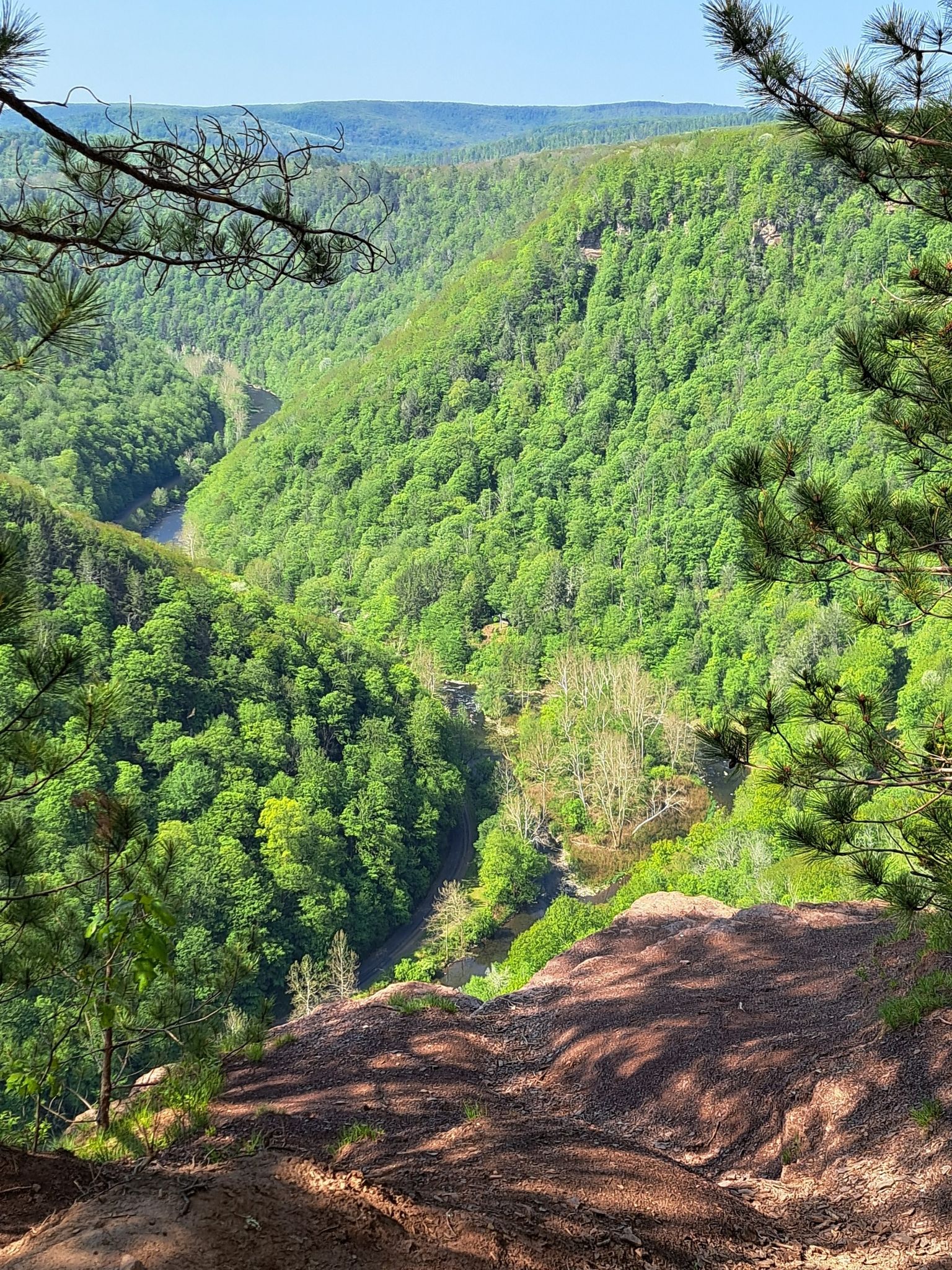 Steep cliff edge overlooking a deep, green forested valley with a river. - Barbour Rock Trail