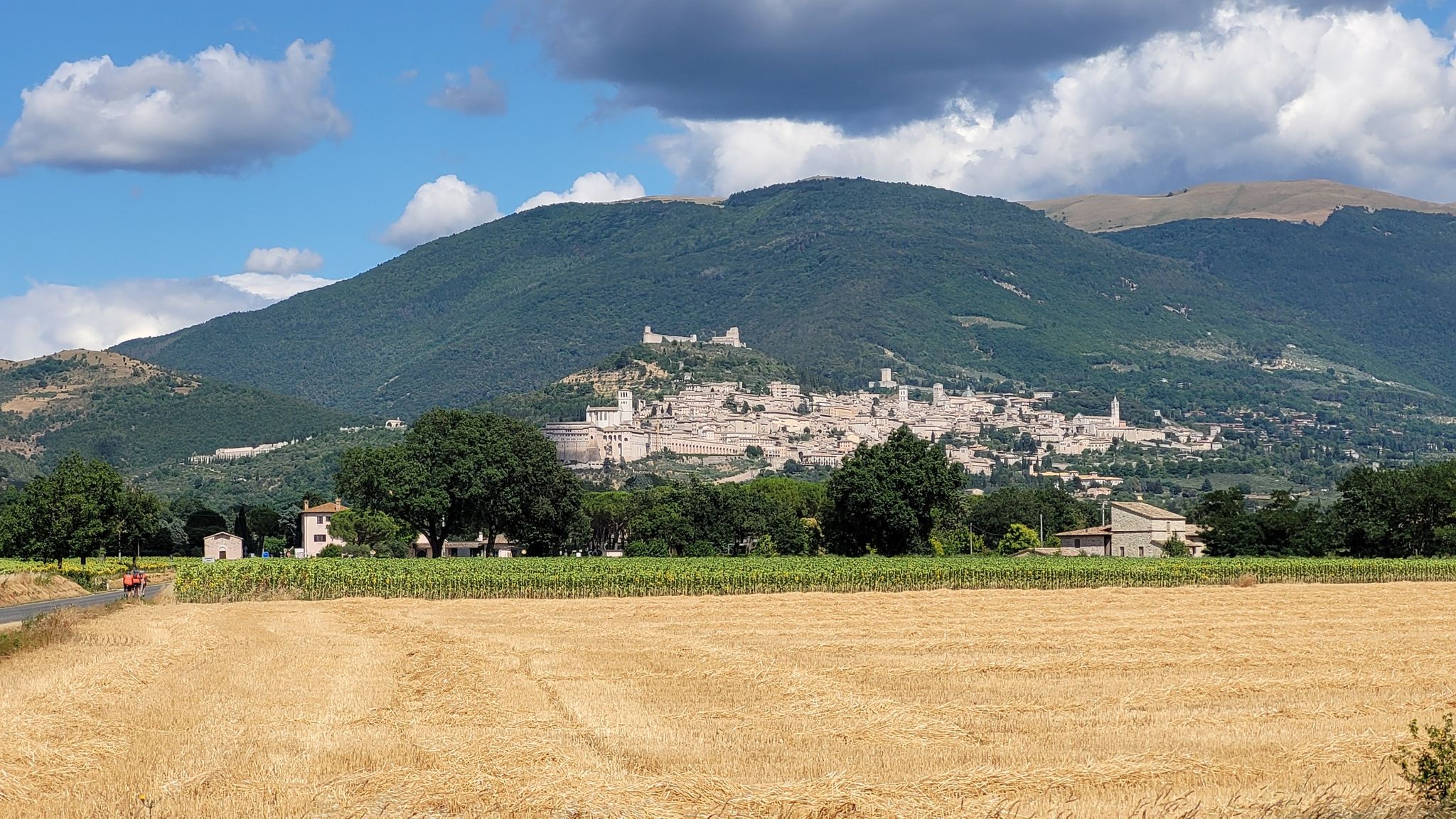 Assisi