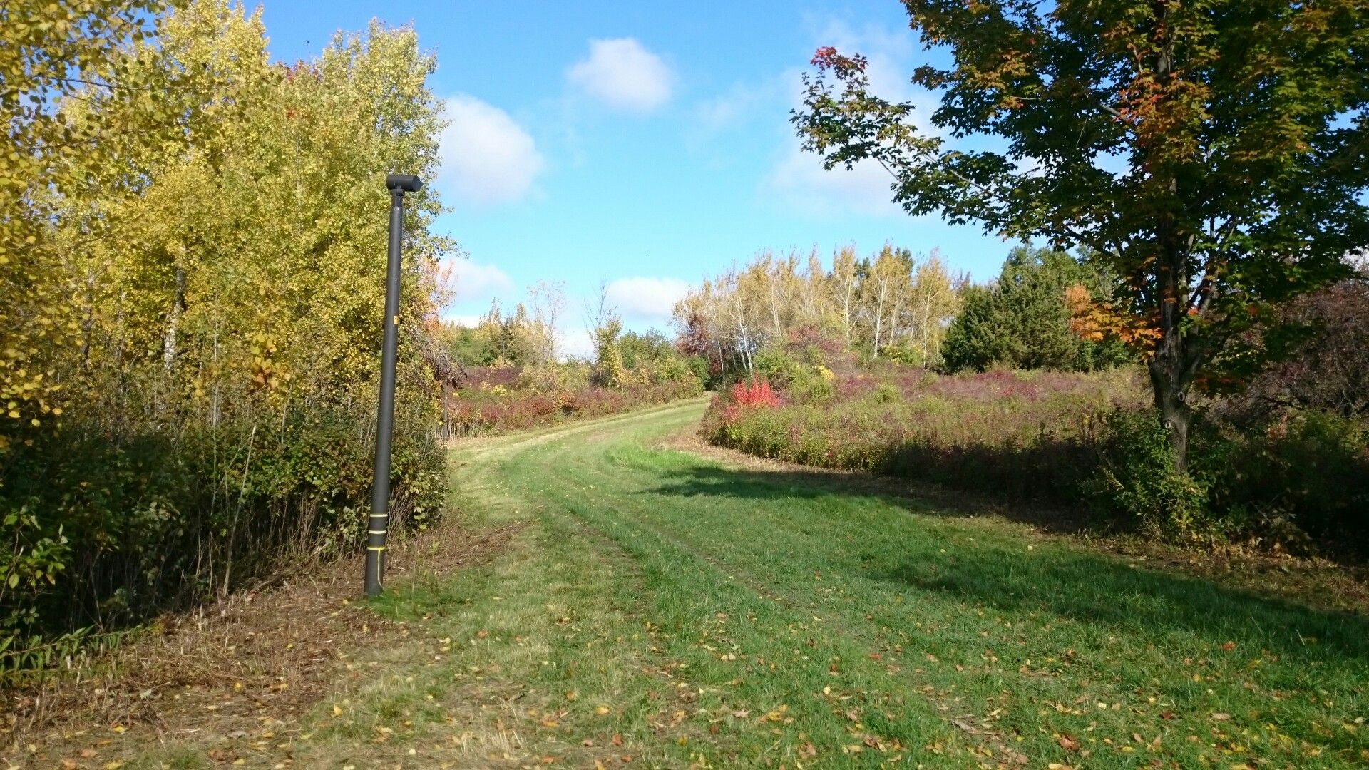 Hyland Park