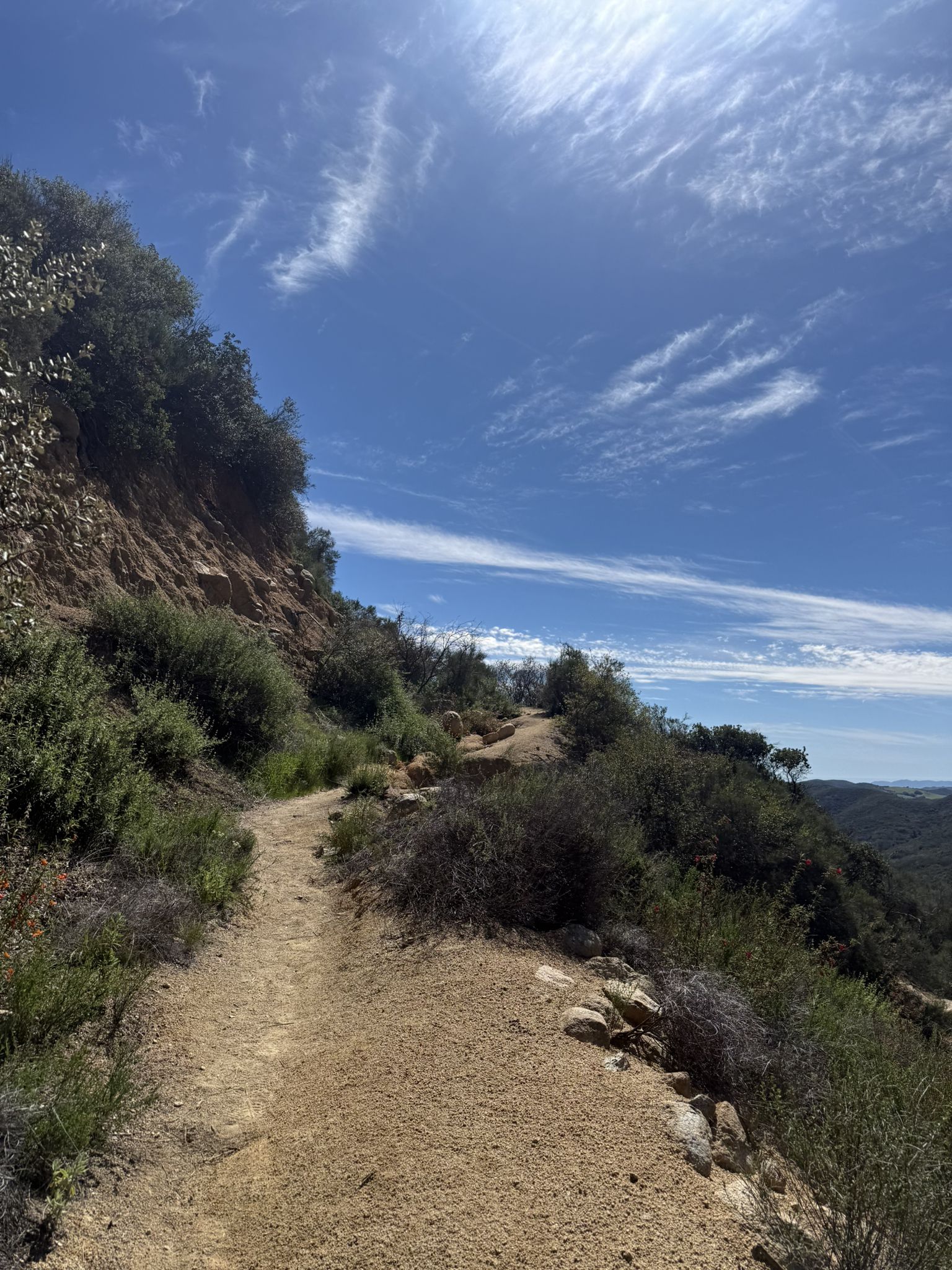 Dirt trail winding along a brushy hillside under a bright blue sky. - Sitton Peak via Bear Canyon and Bear Ridge Loop