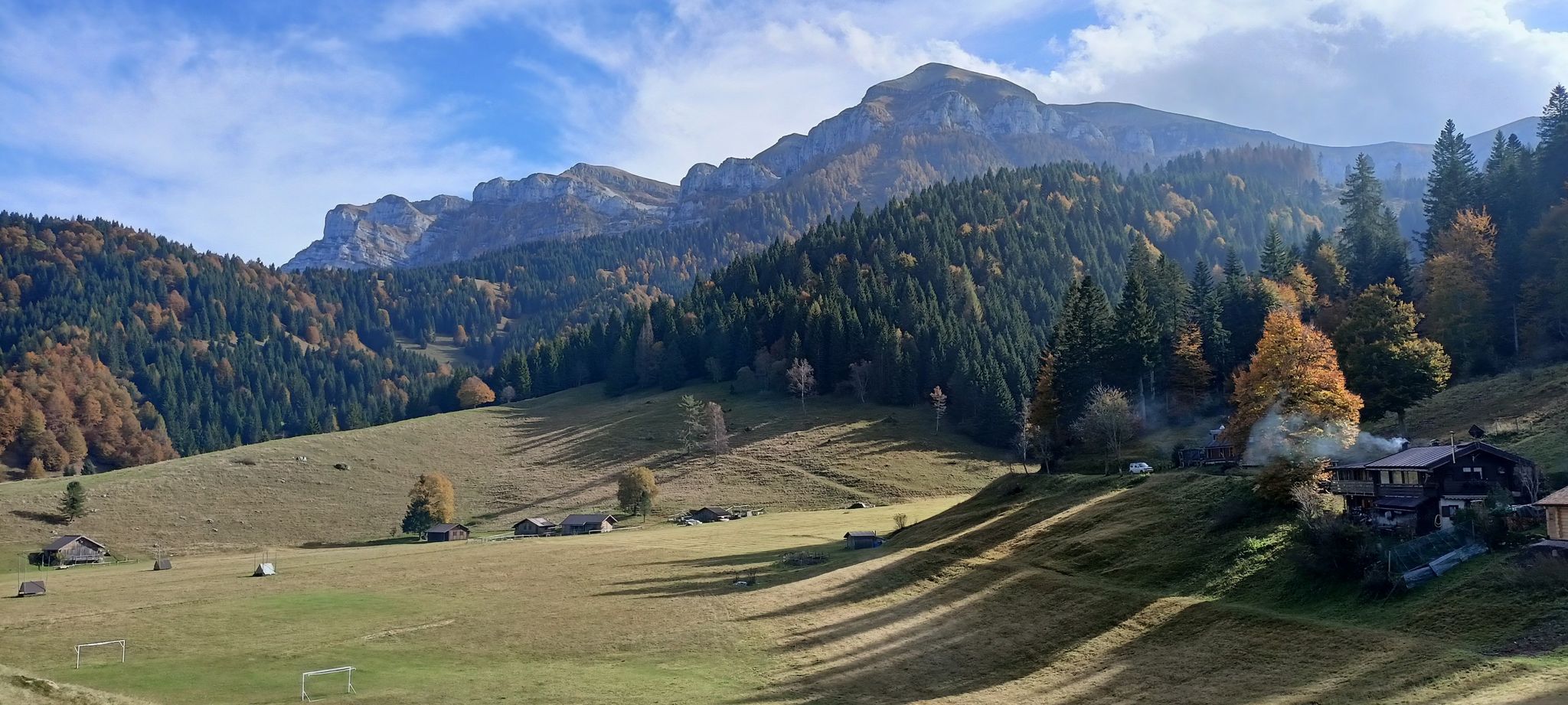 Pavione