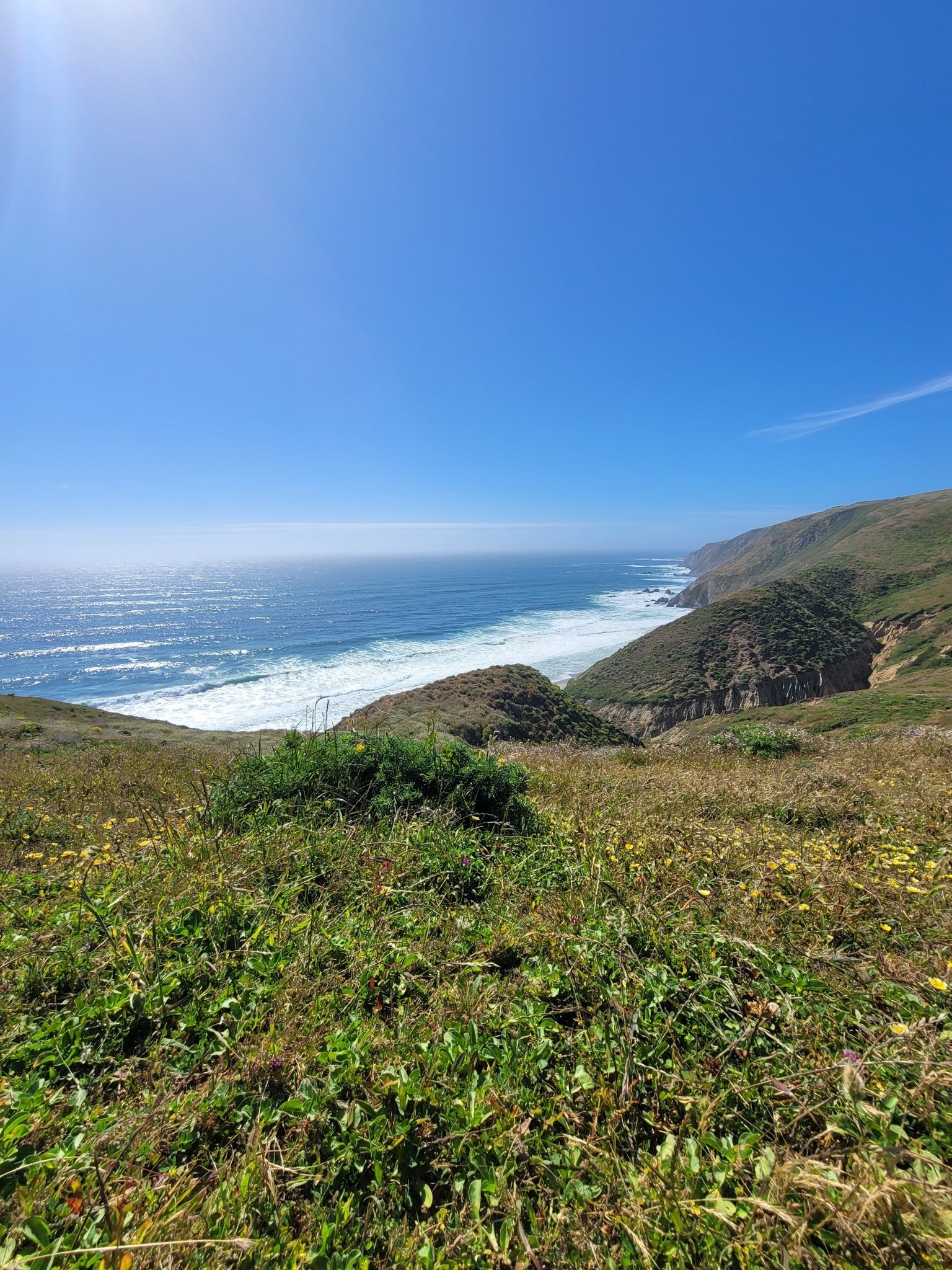 Lush green hillsides meet a bright blue ocean with white waves under a sunny sky. - Pierce Point Ranch – Tomales Point Trail loop from South Blue Gum Beach