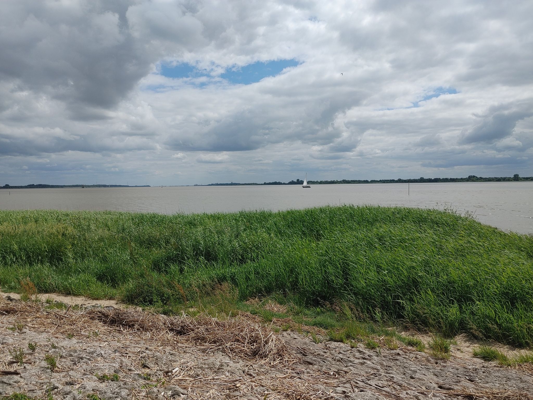 Elbe bei Kolmar