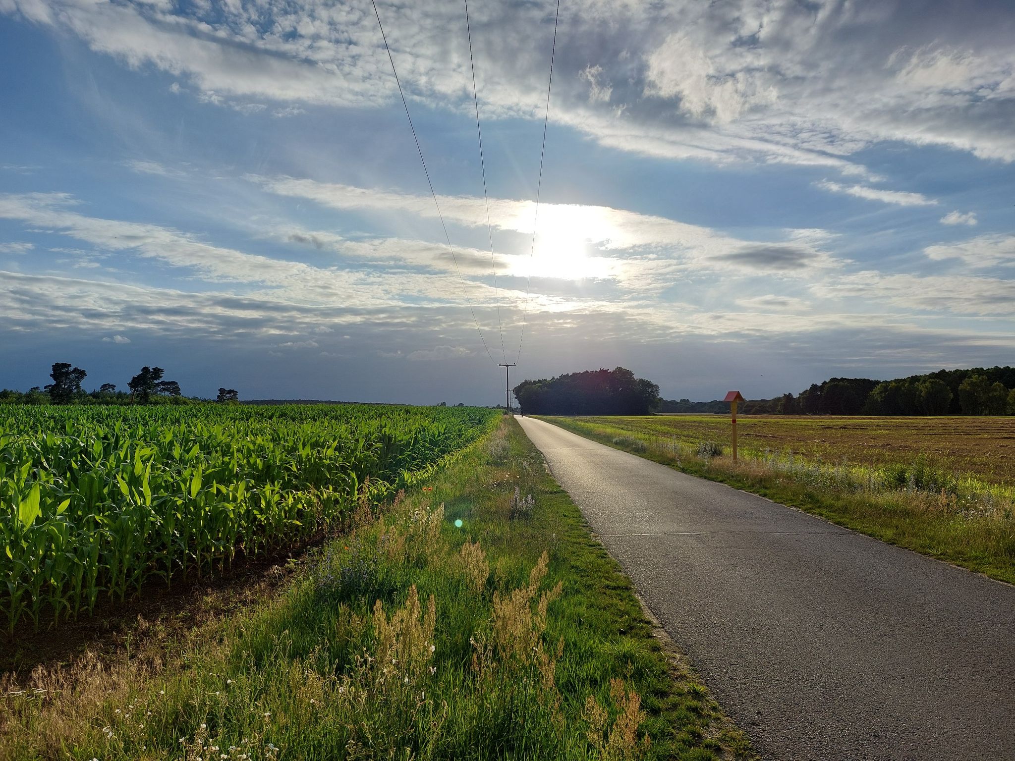 Weg nach Zützen