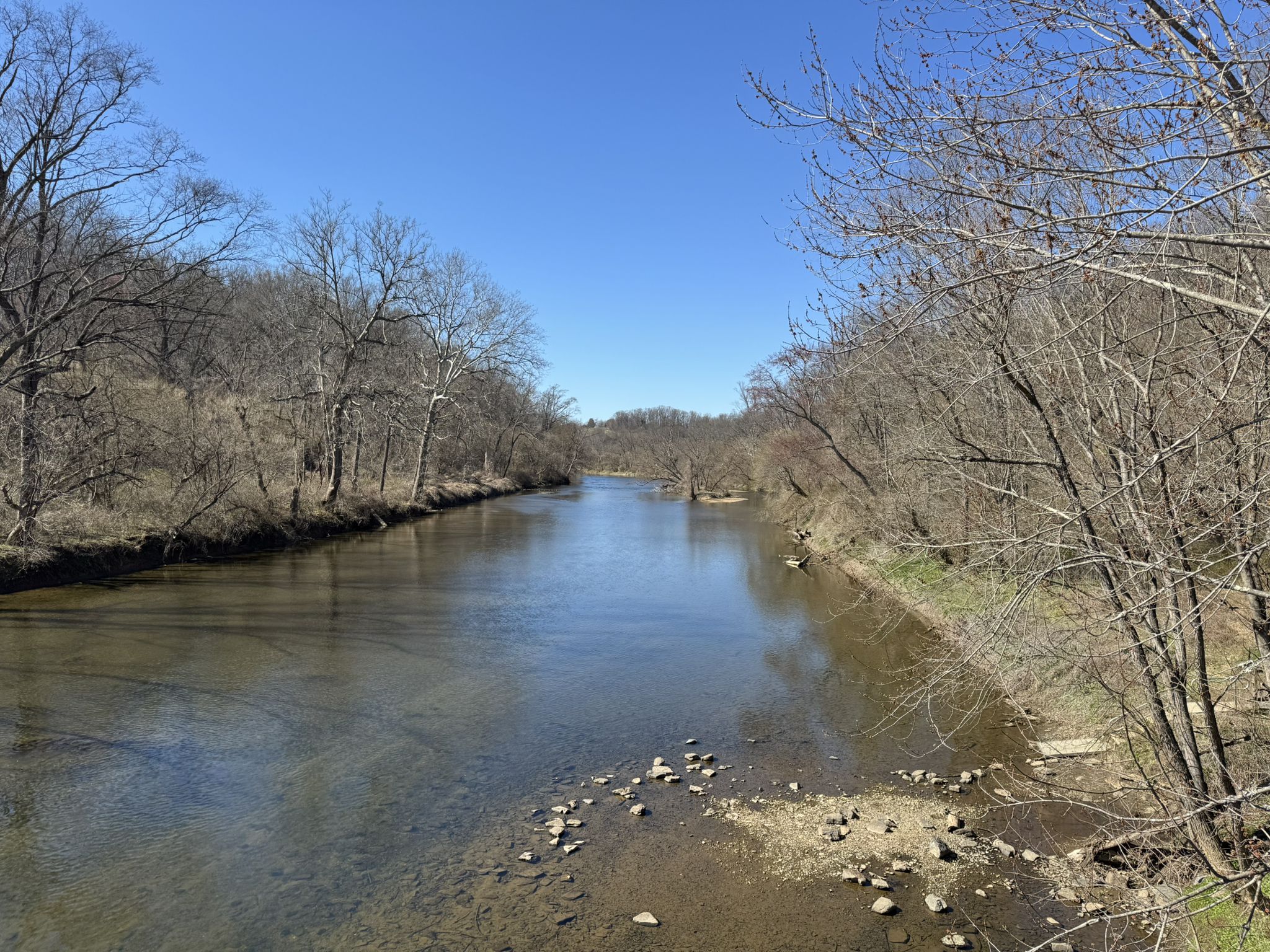 A wide river flows through a forest of bare trees under a clear blue sky. - Rocky Run loop from Talleyville