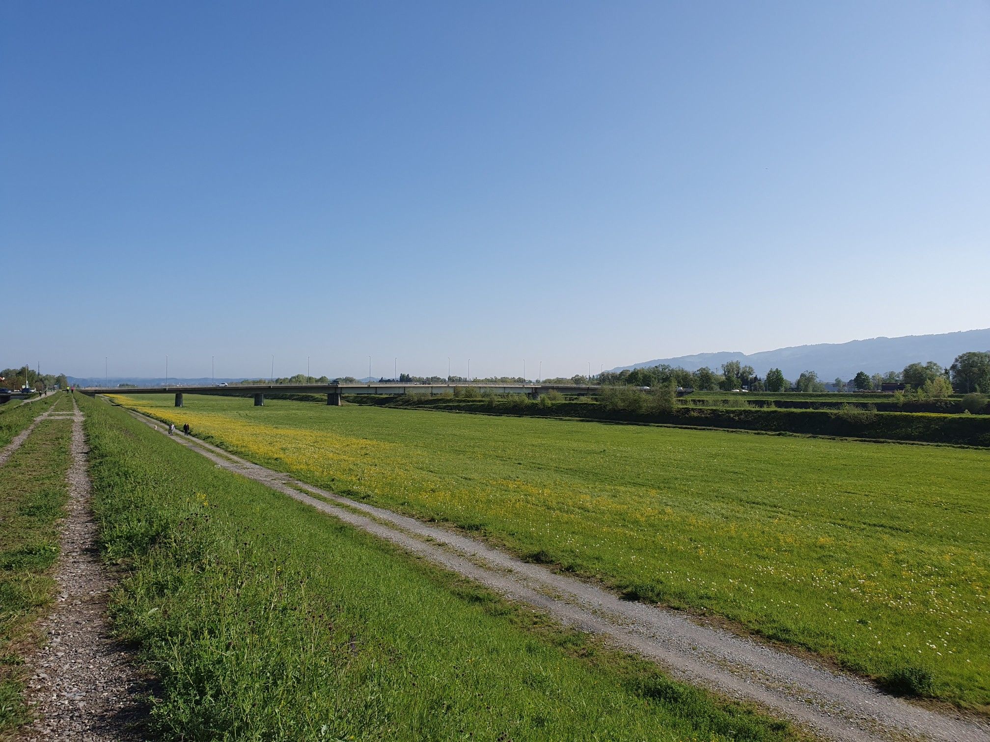 Rheinbrücke  nach Hard