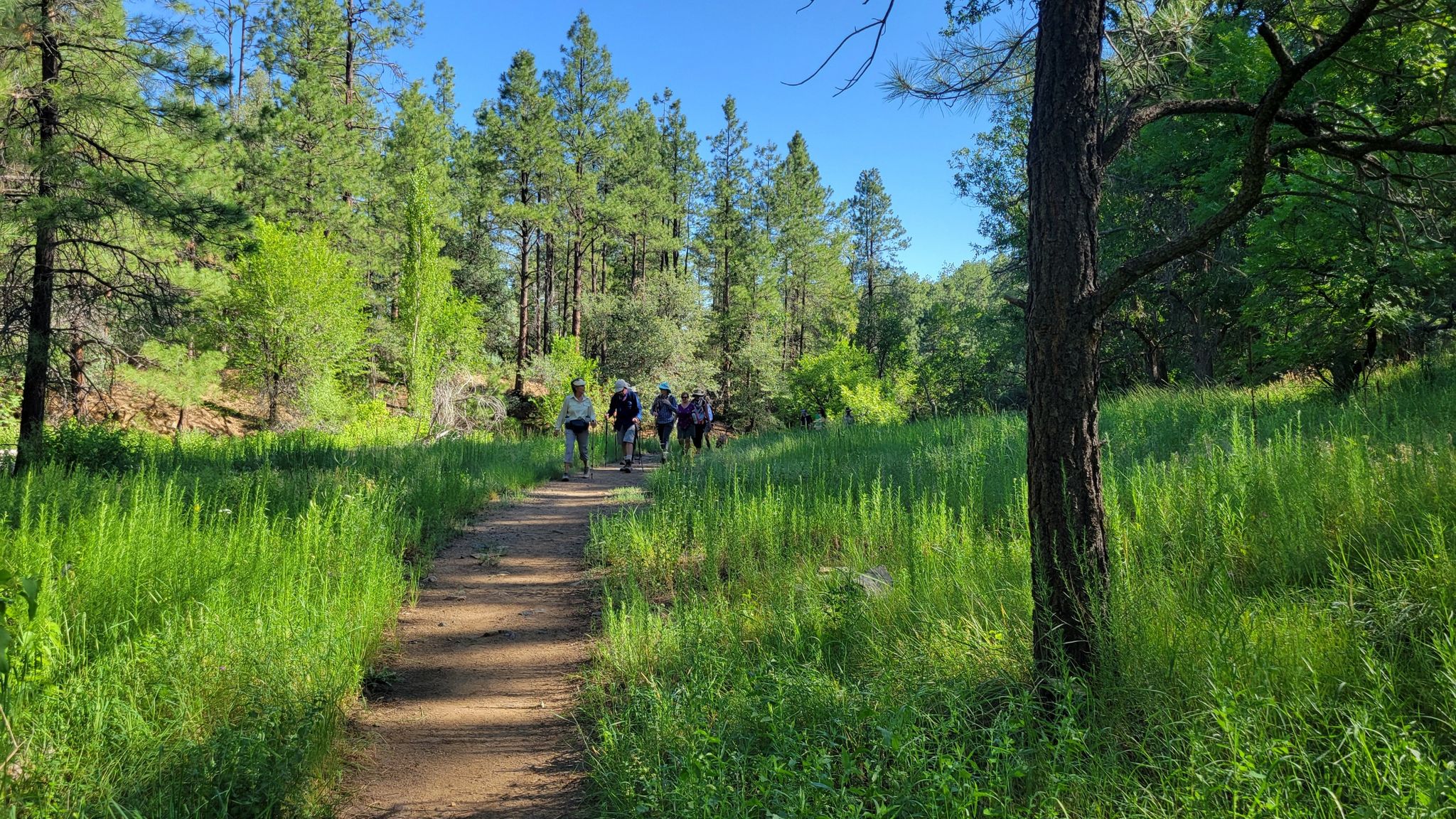 A group of hikers walks on a dirt path through lush green grass. - Helipad-like Concrete Square – Rocky Creek loop from Oak Knoll Village