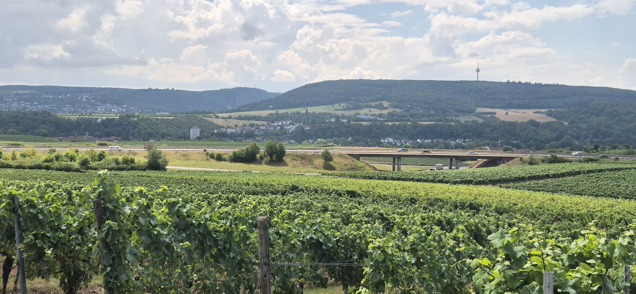Durch die Weinberge zur B41