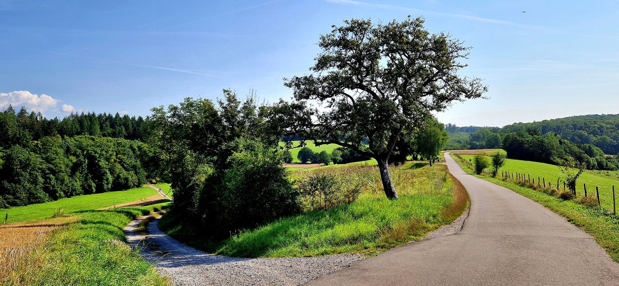 Hier geht's links weiter