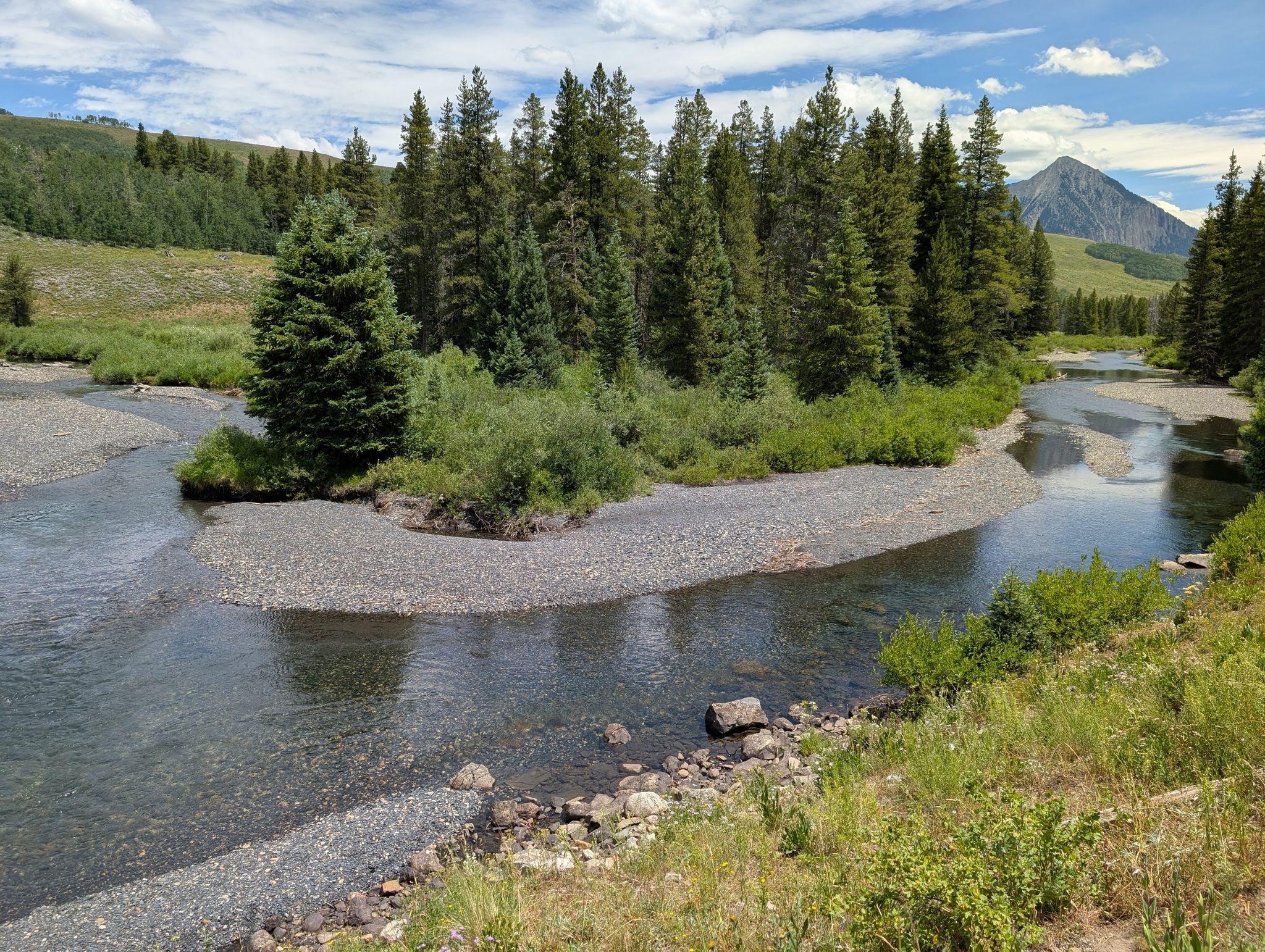 Clear river flows through evergreen forest with distant mountain under sunny sky. - Snodgrass, Lupine, Lower Loop