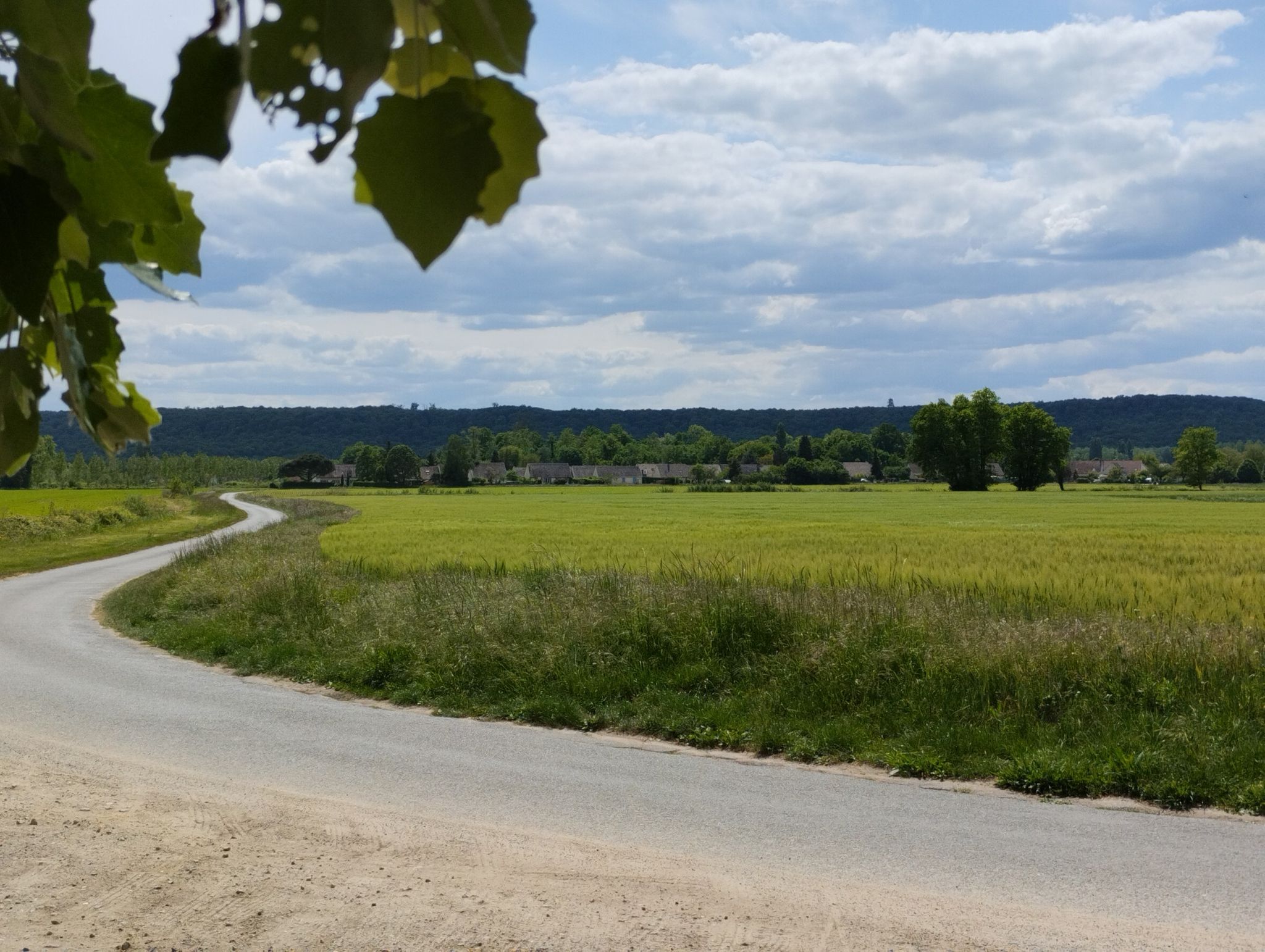 juste pour le paysage, Rethondes et le Mont Saint mard