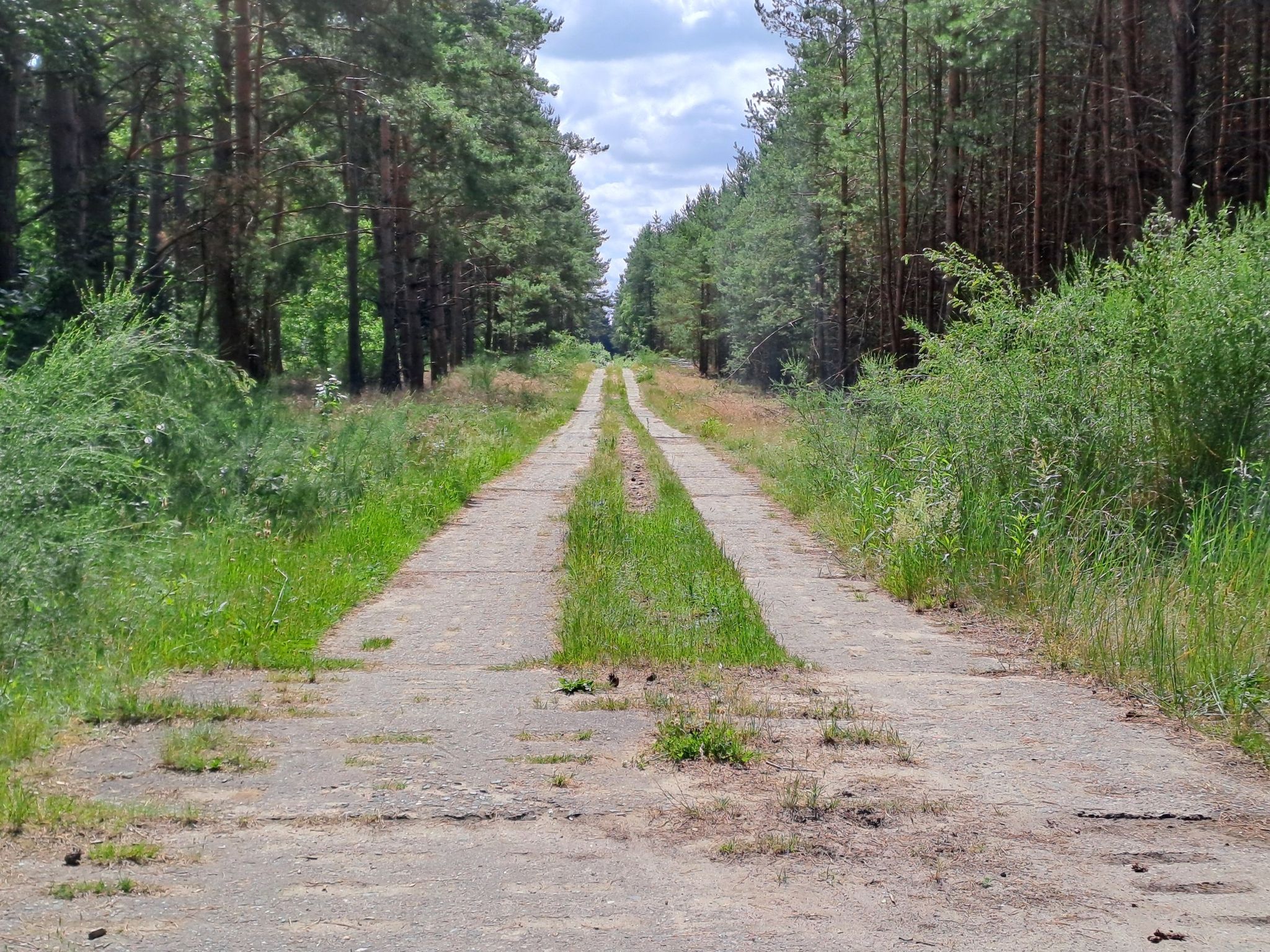 Kolonnenweg in der Palinger Heide (Mecklenburg Vorpommern)
