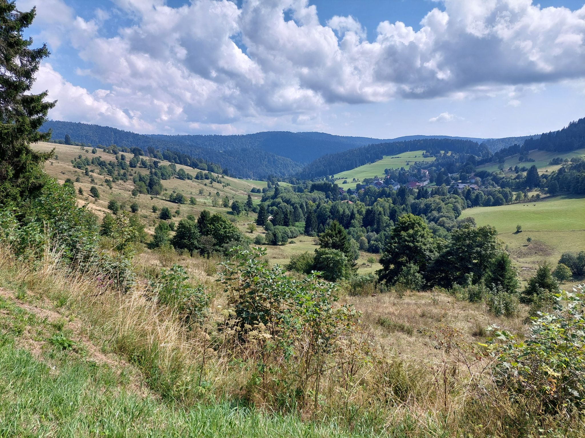 L151, Abfahrt Richtung Todtmoos