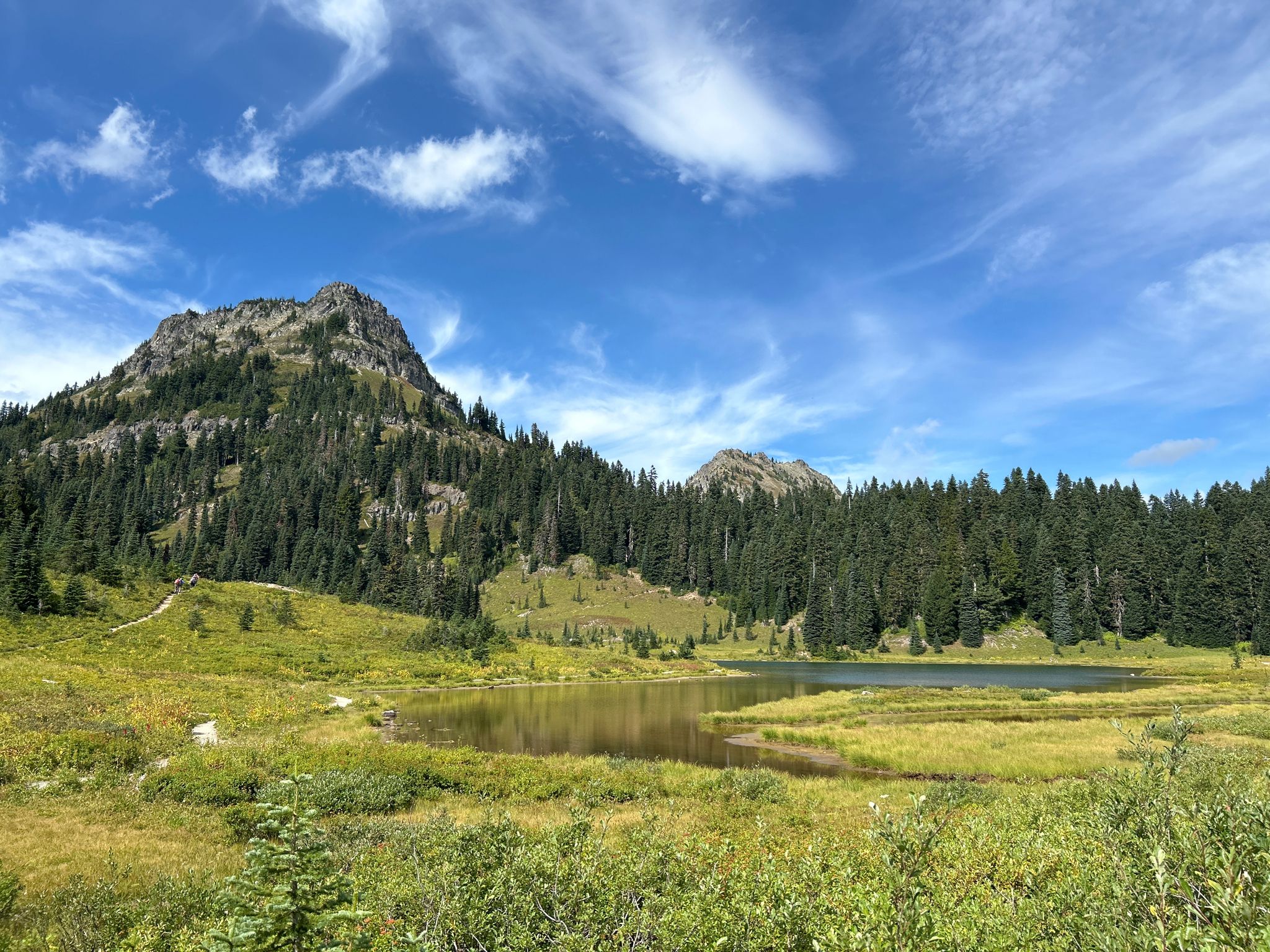Mountain, forest, and lake in a green meadow under a blue sky. - Tipsoo Lake Loop