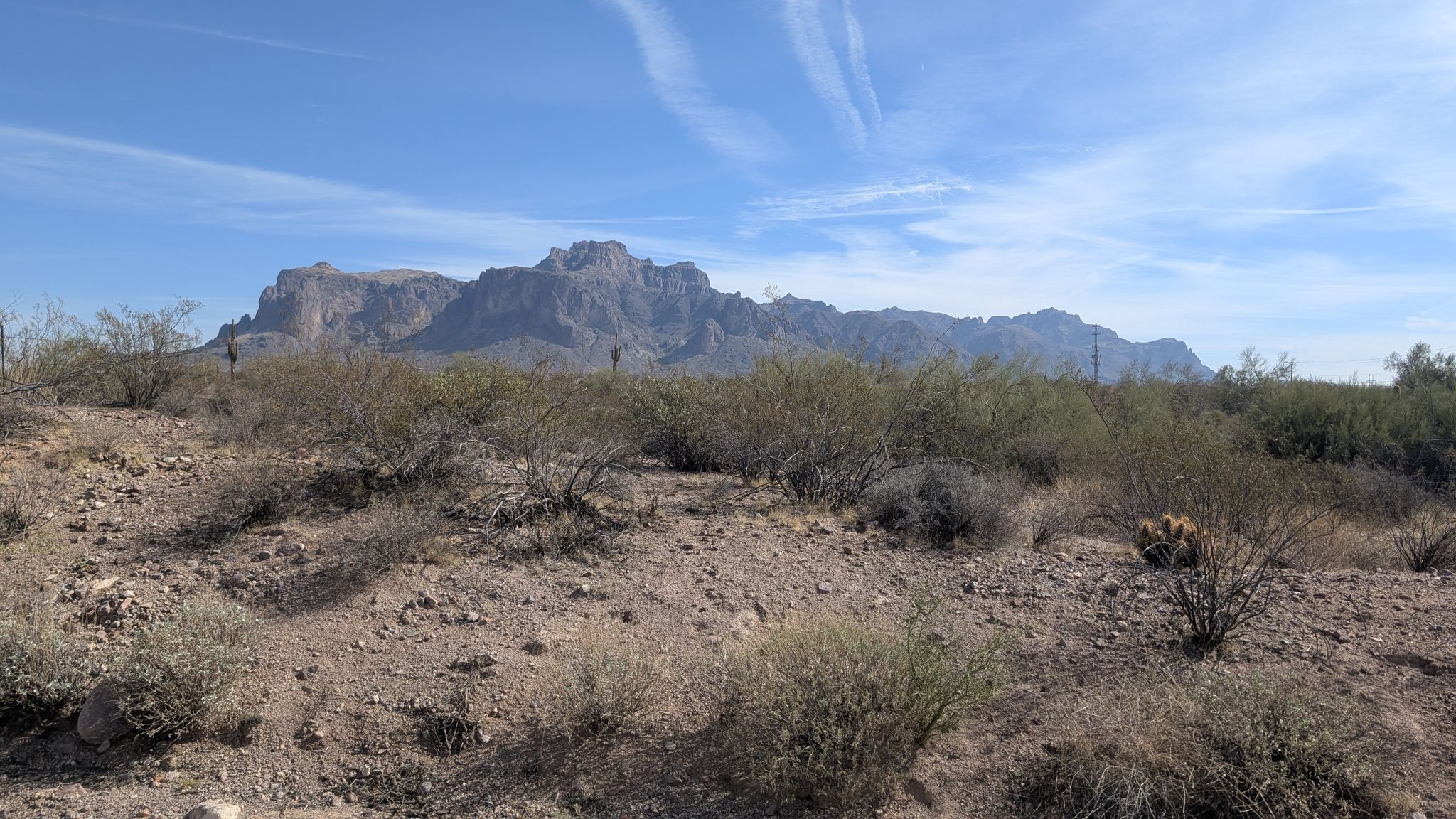 Wide desert landscape with distant rugged mountains, shrubs, and a clear sky. - Goldfield Ghost Town and Lost Dutchman State Park via the Apache Trail loop