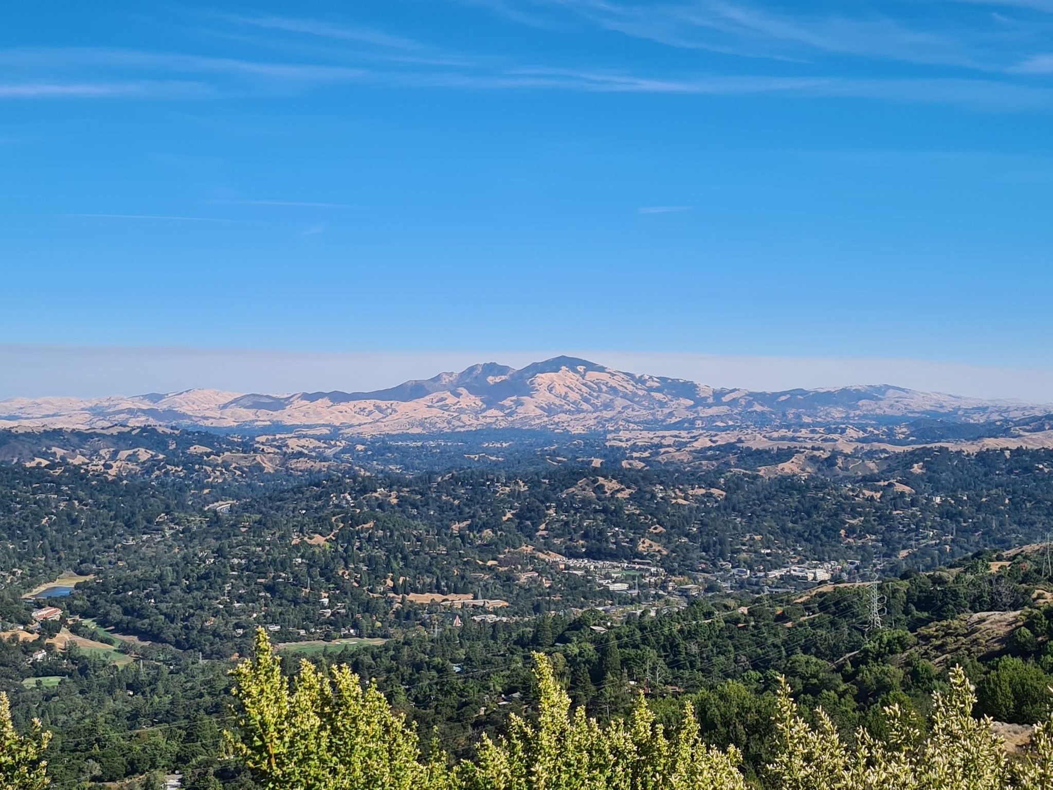 Expansive view of forested hills and distant mountains under a clear blue sky. - Vollmer Peak and Seaview Trail Loop