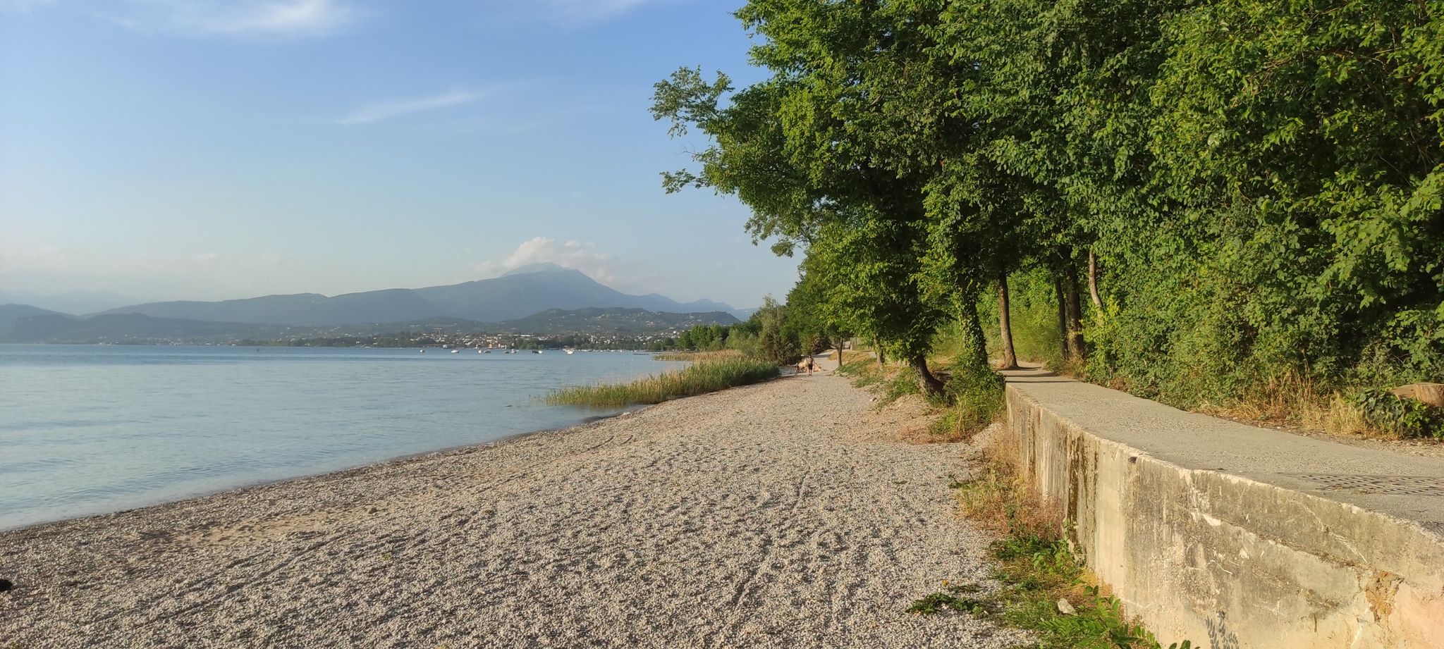 Die Bucht von Lazise