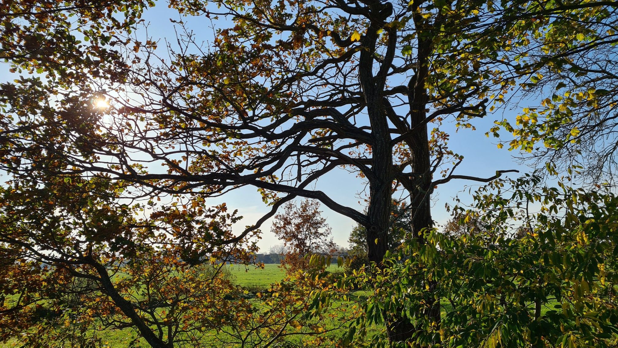 Herbst in Großheide