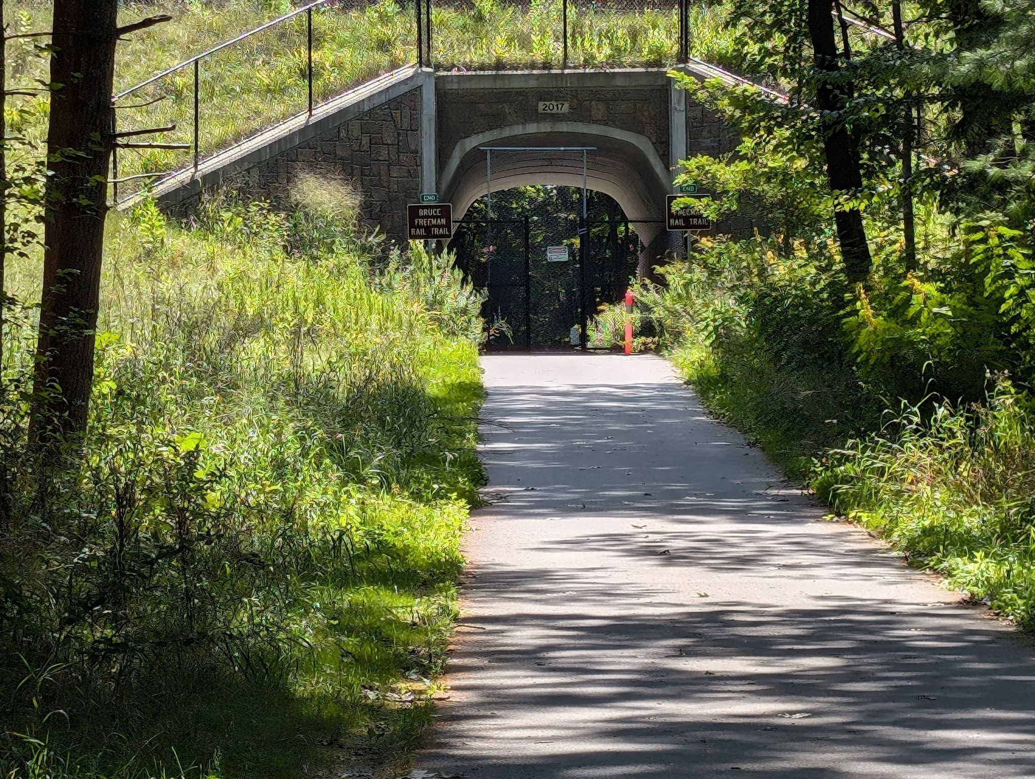 Paved path leads to a stone underpass surrounded by green foliage in bright daylight. - Bruce Freeman Rail Trail – White Pond Viewpoint loop from Nobscot Road Parcel