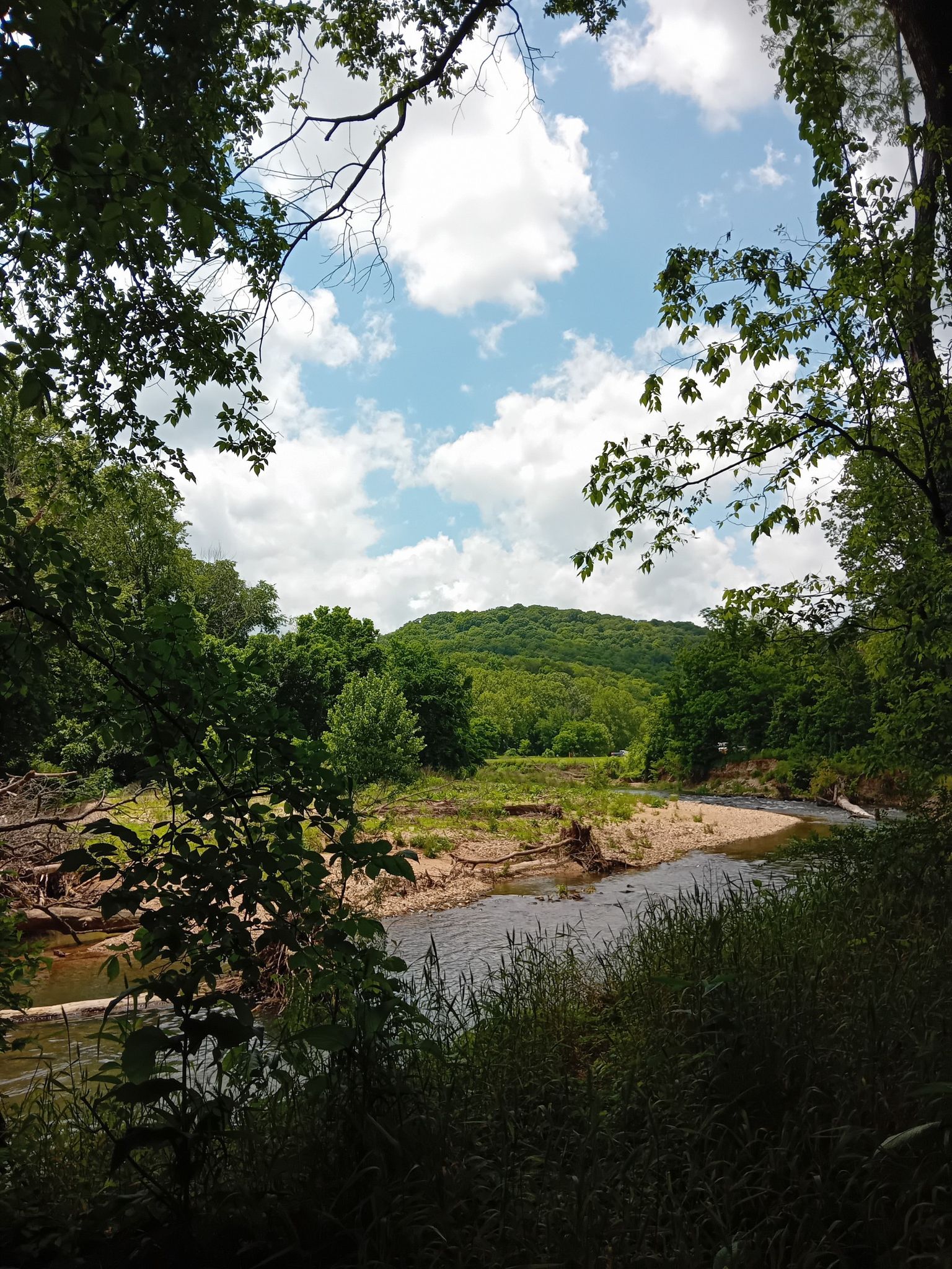 River with sandy banks, green hills, and cloudy sky framed by trees. - Fire Tower Trail Loop