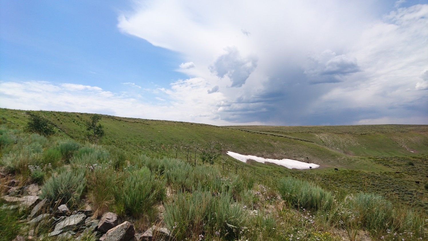 Green rolling hills with a small snow patch under a partly cloudy sky. - Sage Creek Road to Sage Creek Cliffs Overlook