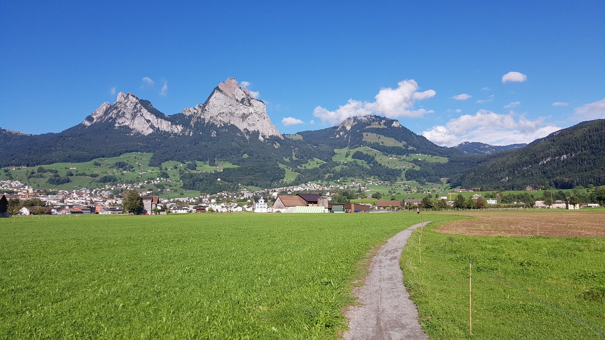 Heimwärts.