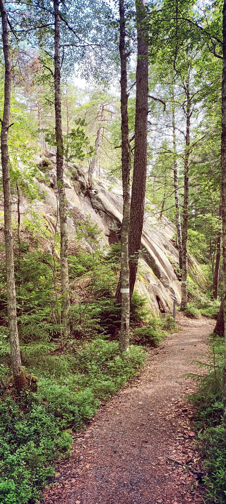 Ein Steinchen von geschätzt 10 m Höhe