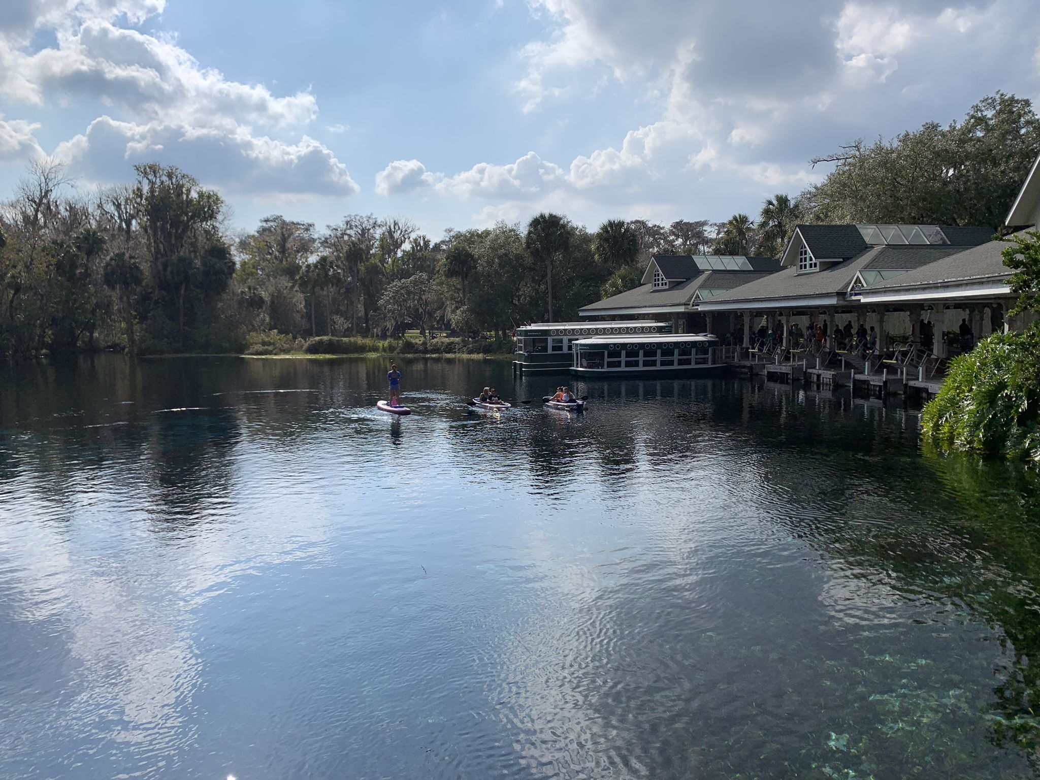 People paddleboarding and kayaking on a river next to a building. - Silver River Views (with Alligators) – Silver Springs State Park loop from Marion