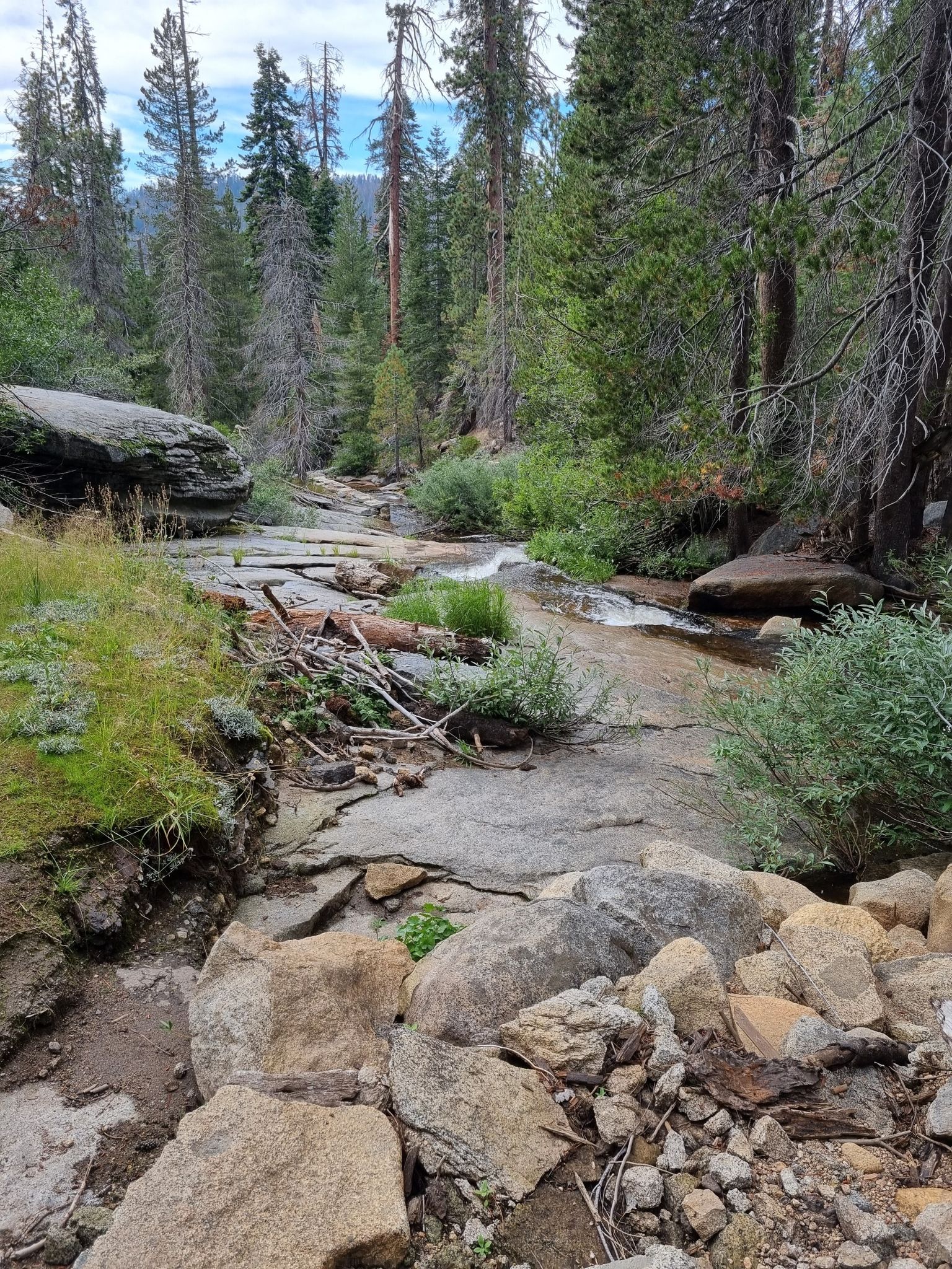 A rocky stream flowing through a forest with green foliage. - Tough Twins – General Sherman Tree loop from Lodgepole Campground
