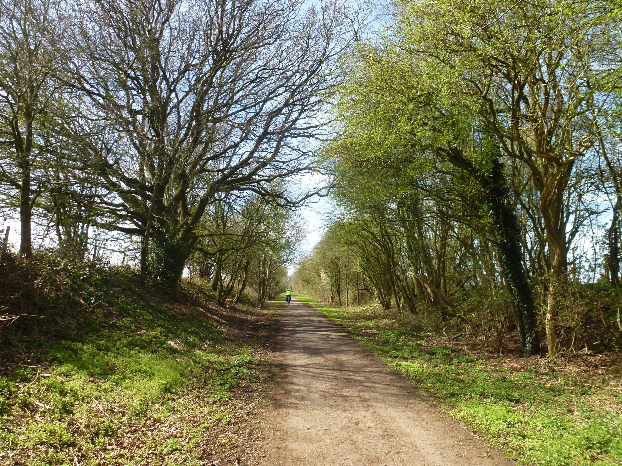 On NCN54 cycle path near Etwall