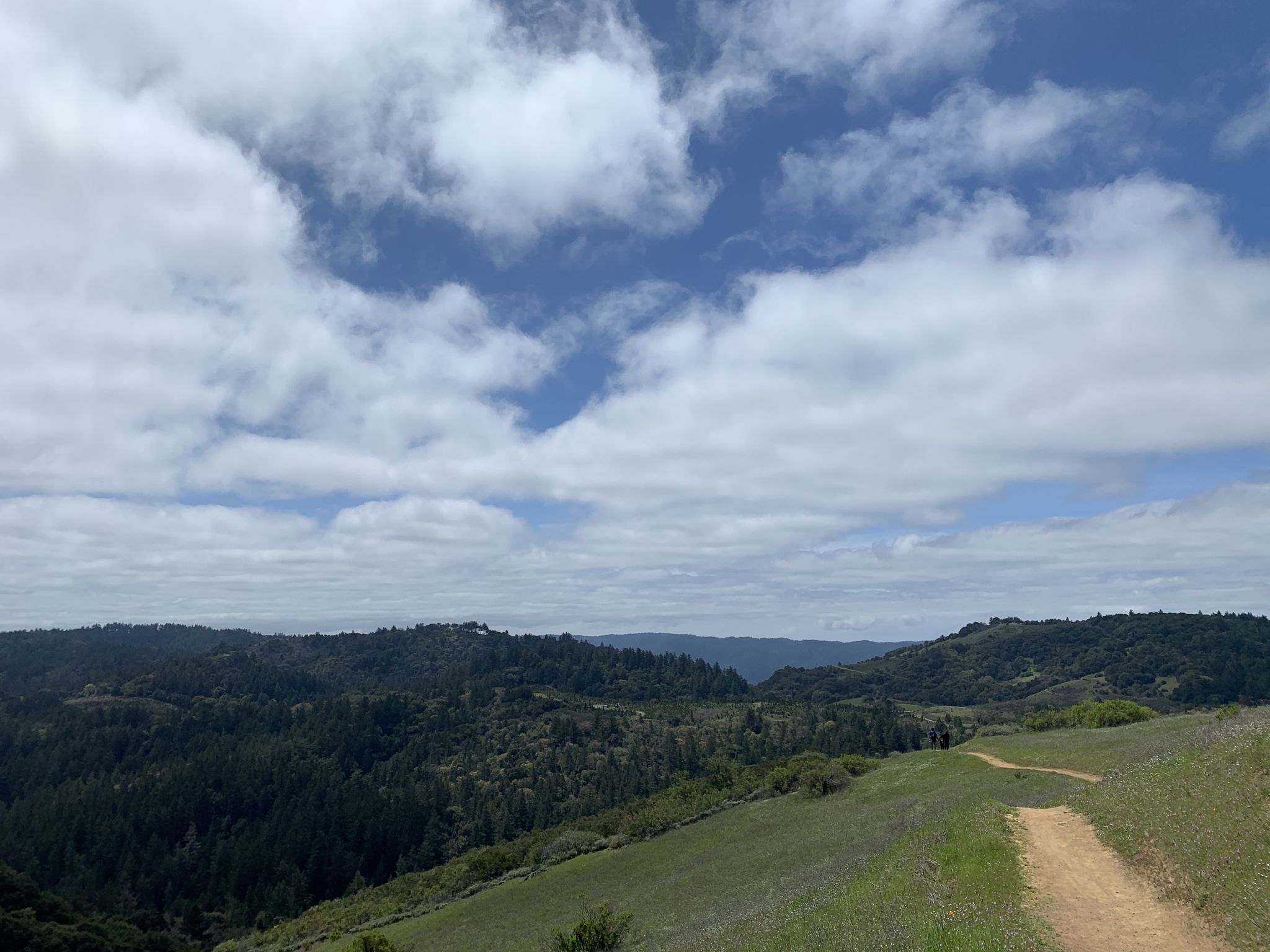 Dirt path on a grassy ridge overlooks a vast green forested valley. - White Oak Trail – Old Ranch Trail loop from Los Trancos Open Space Preserve