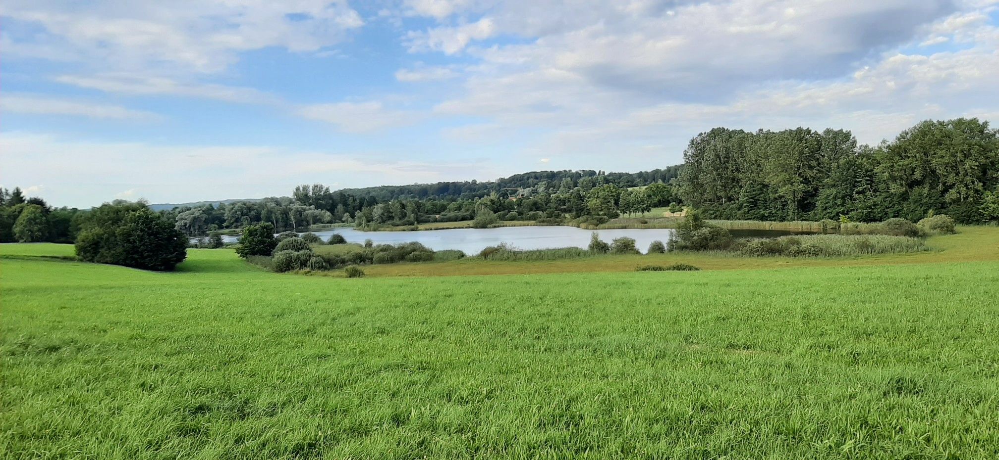 Ditsche